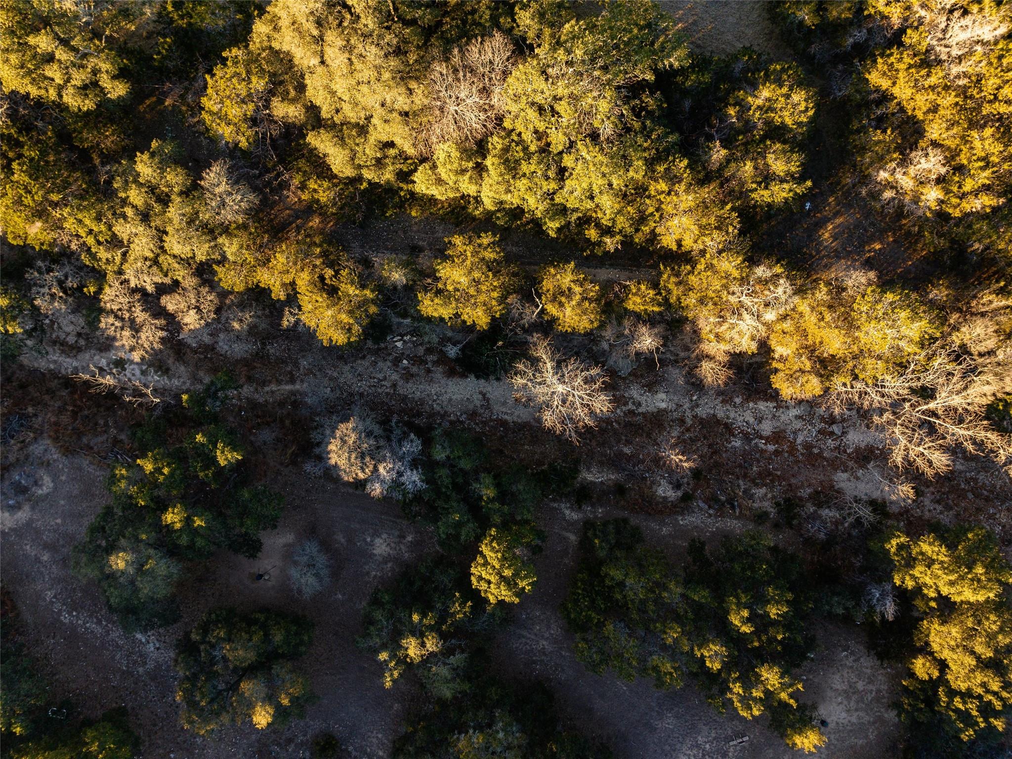 Image 21 of 40 For 6.56 Acres 1623 Rd