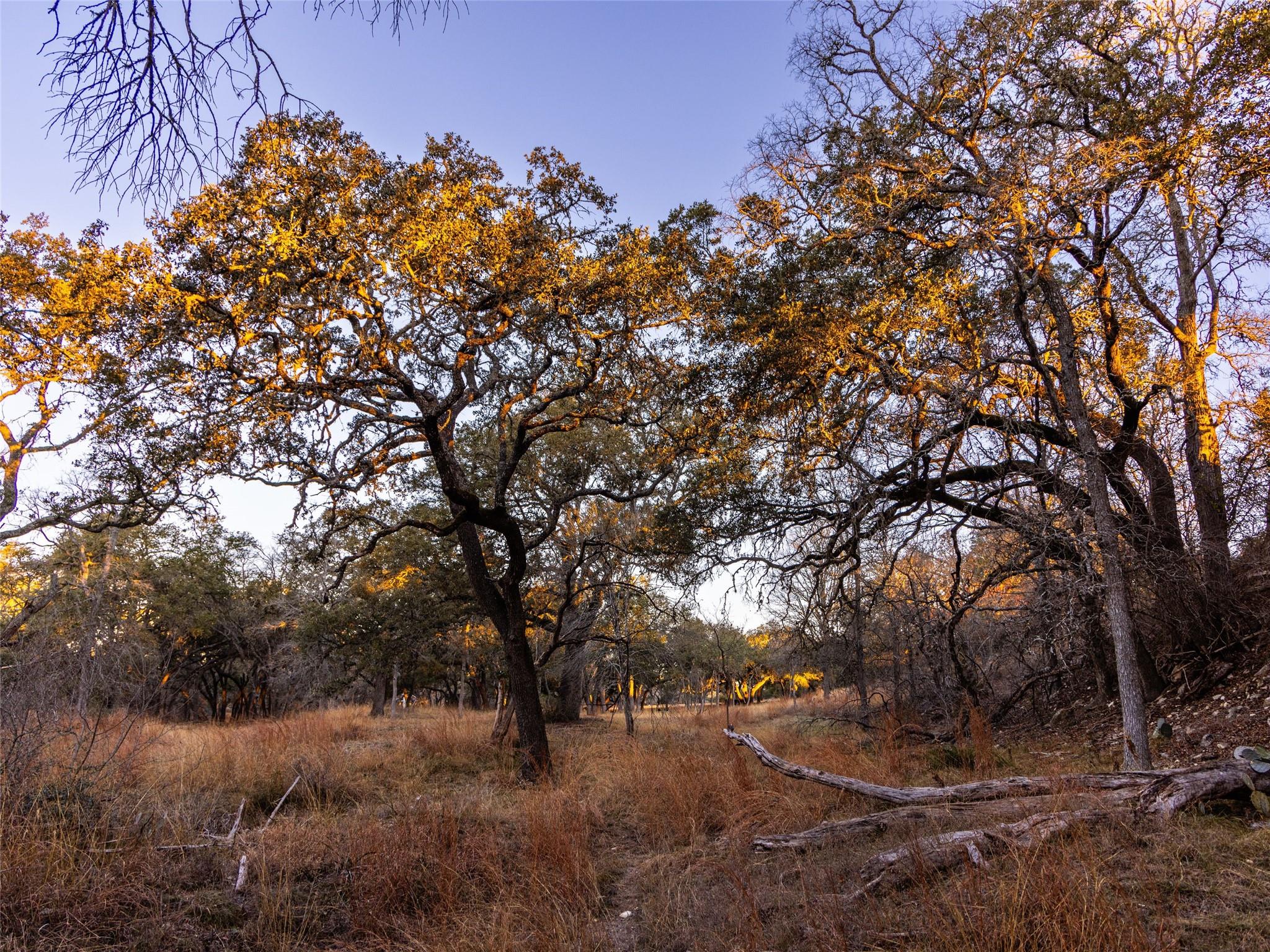 Image 32 of 40 For 6.56 Acres 1623 Rd