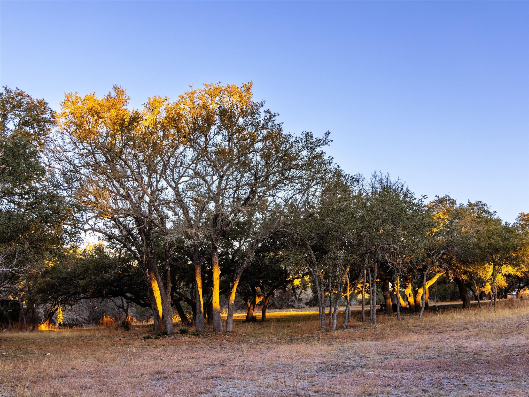 Image 33 of 40 For 6.56 Acres 1623 Rd