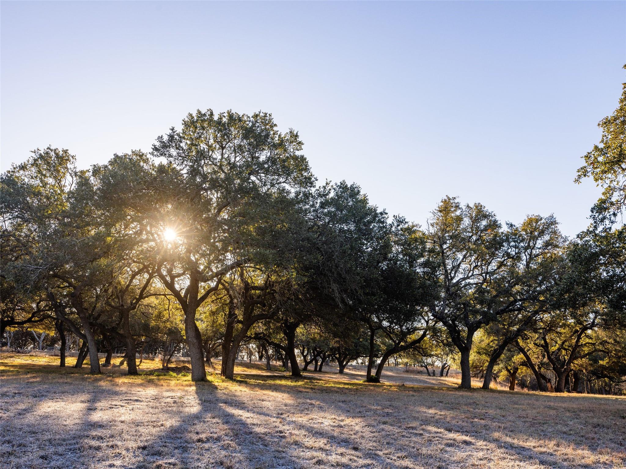 Image 35 of 40 For 6.56 Acres 1623 Rd