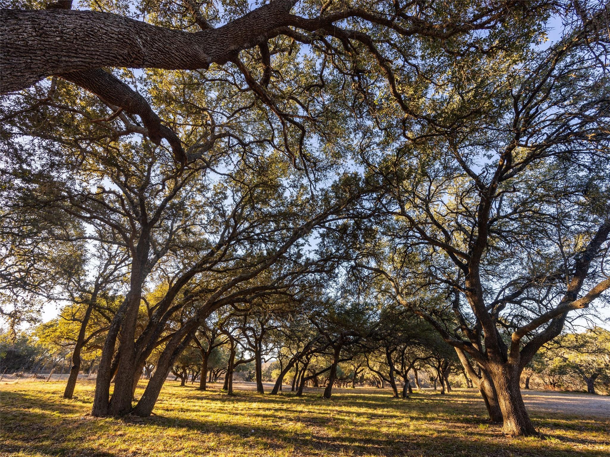 Image 36 of 40 For 6.56 Acres 1623 Rd