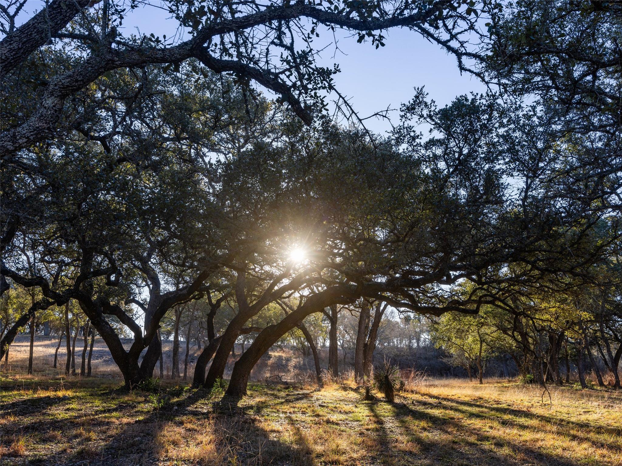 Image 37 of 40 For 6.56 Acres 1623 Rd