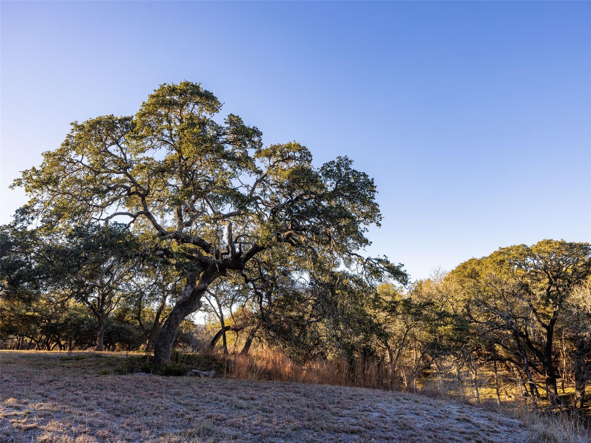 Image 38 of 40 For 6.56 Acres 1623 Rd