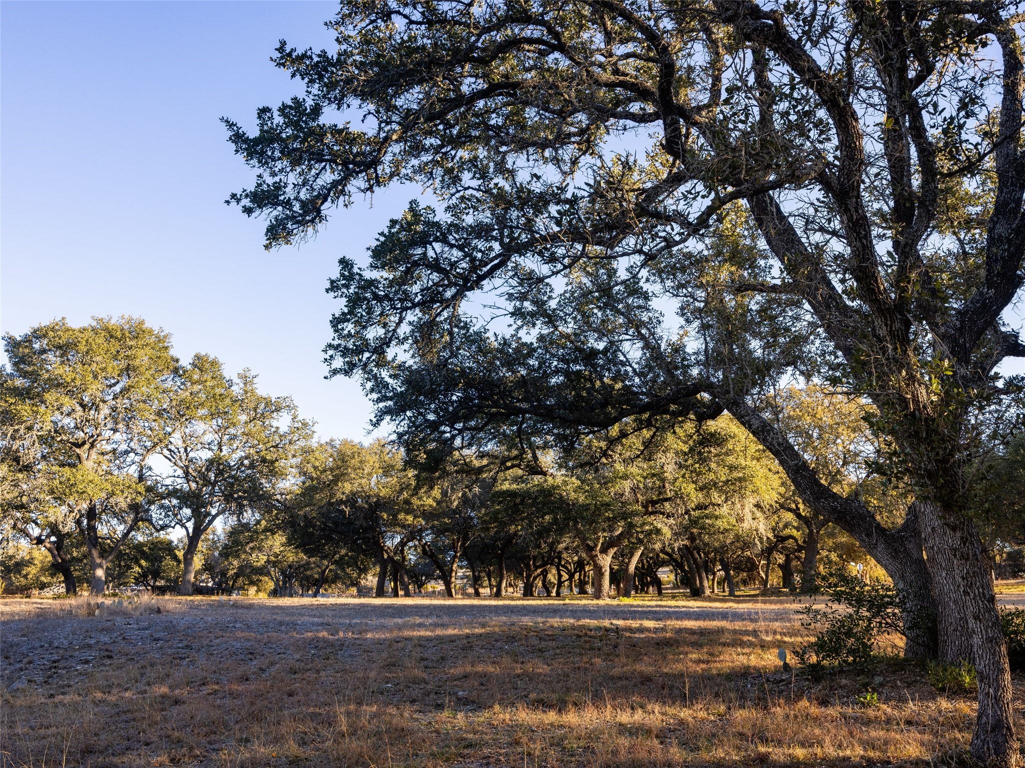 Image 4 of 40 For 6.56 Acres 1623 Rd