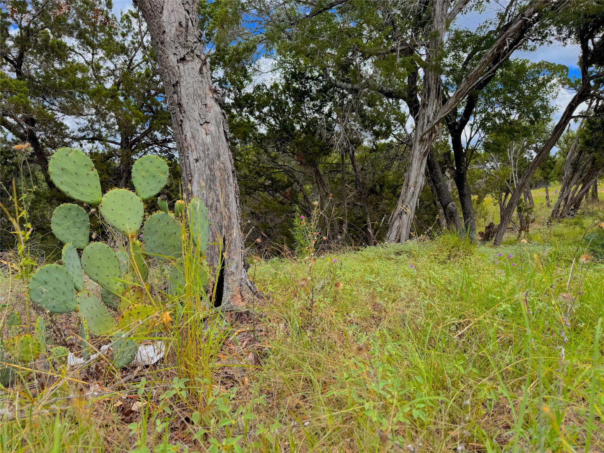 Image 6 of 17 For 714 Caballo Trl