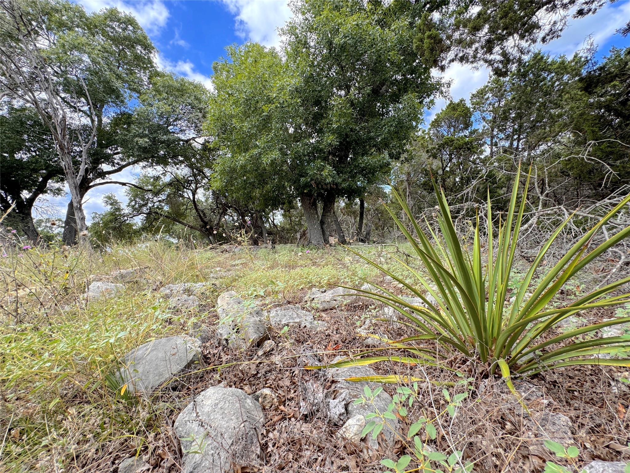 Image 8 of 17 For 714 Caballo Trl