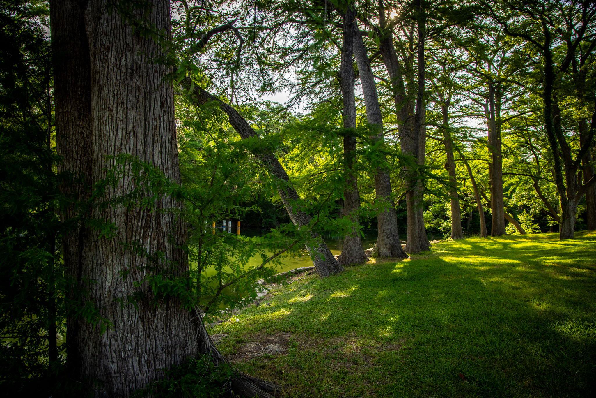 Image 13 of 40 For 1106 Hillcrest Dr