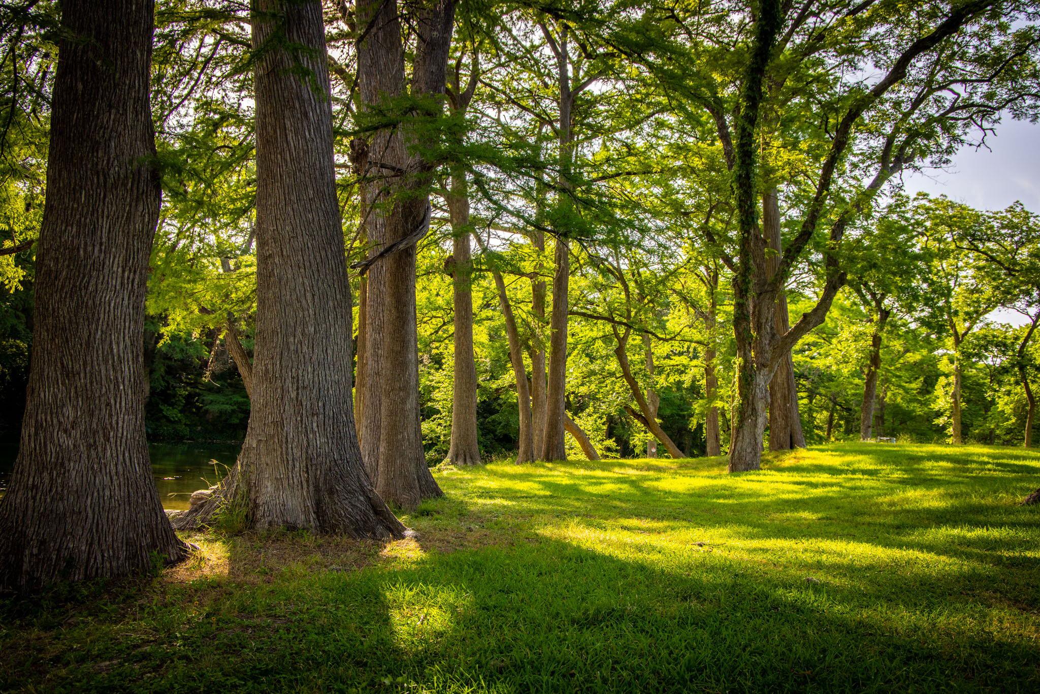 Image 14 of 40 For 1106 Hillcrest Dr