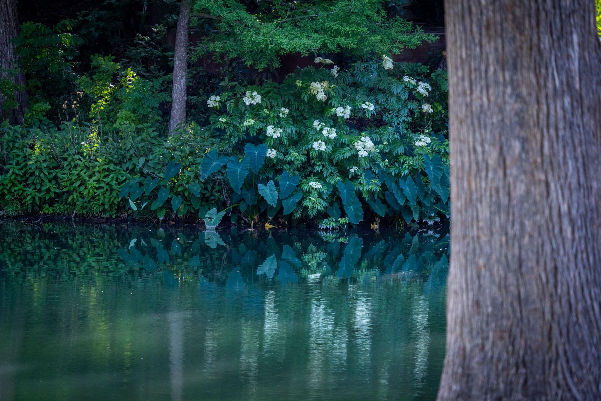 Image 4 of 40 For 1106 Hillcrest Dr