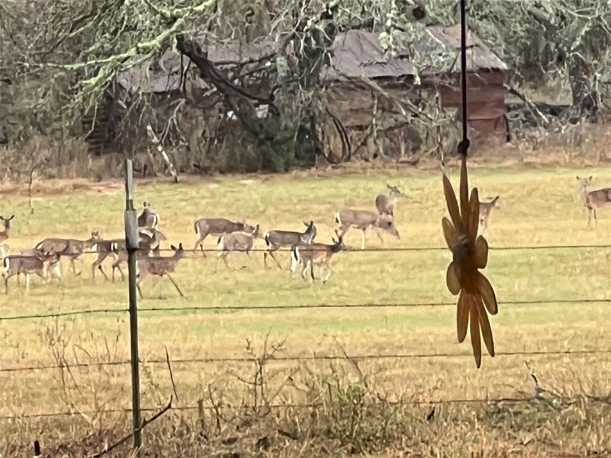 Details for 1384 County Road 326, Adkins, TX 78101