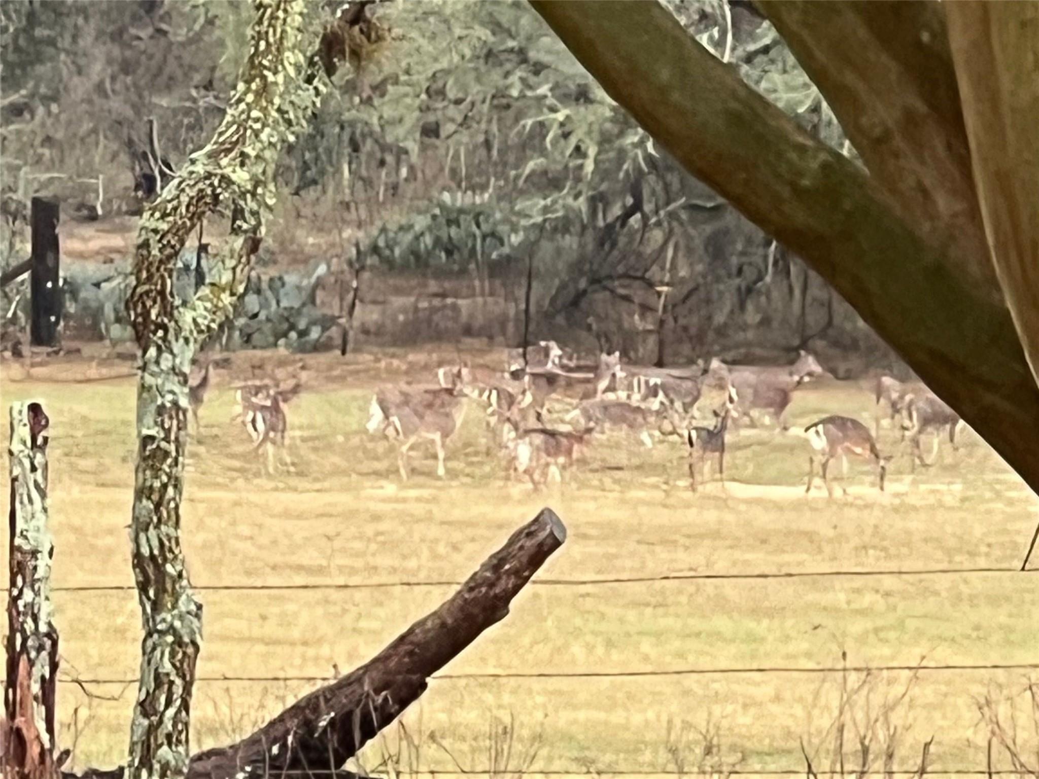 Image 2 of 12 For 1384 County Road 326