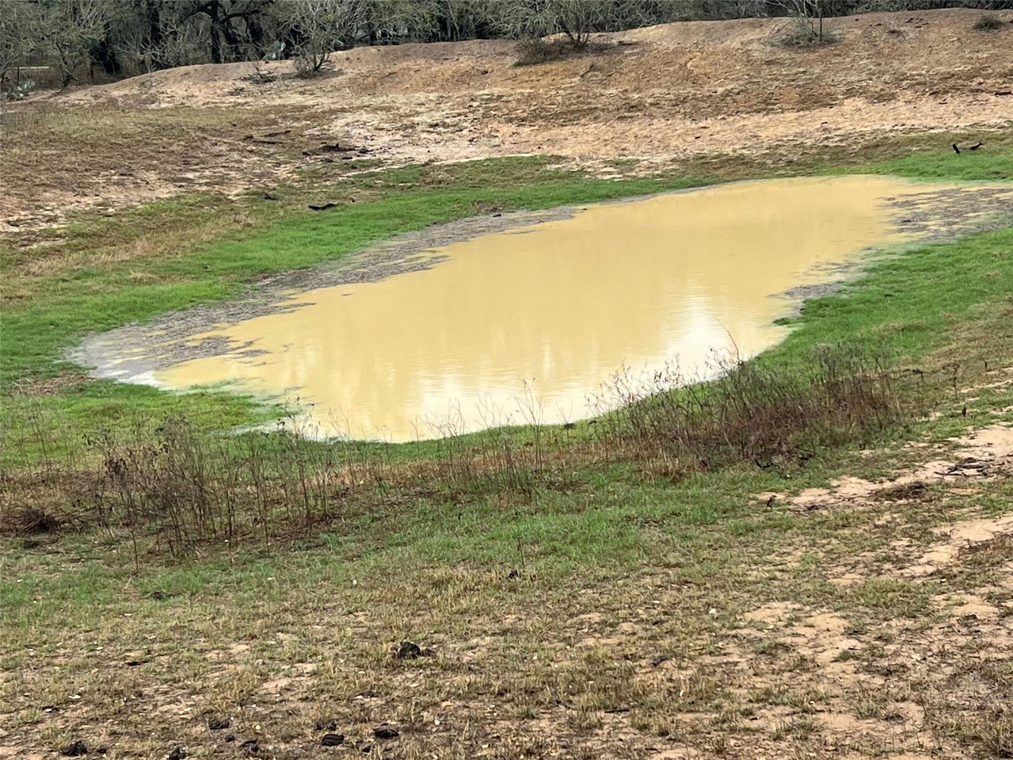 Image 3 of 12 For 1384 County Road 326