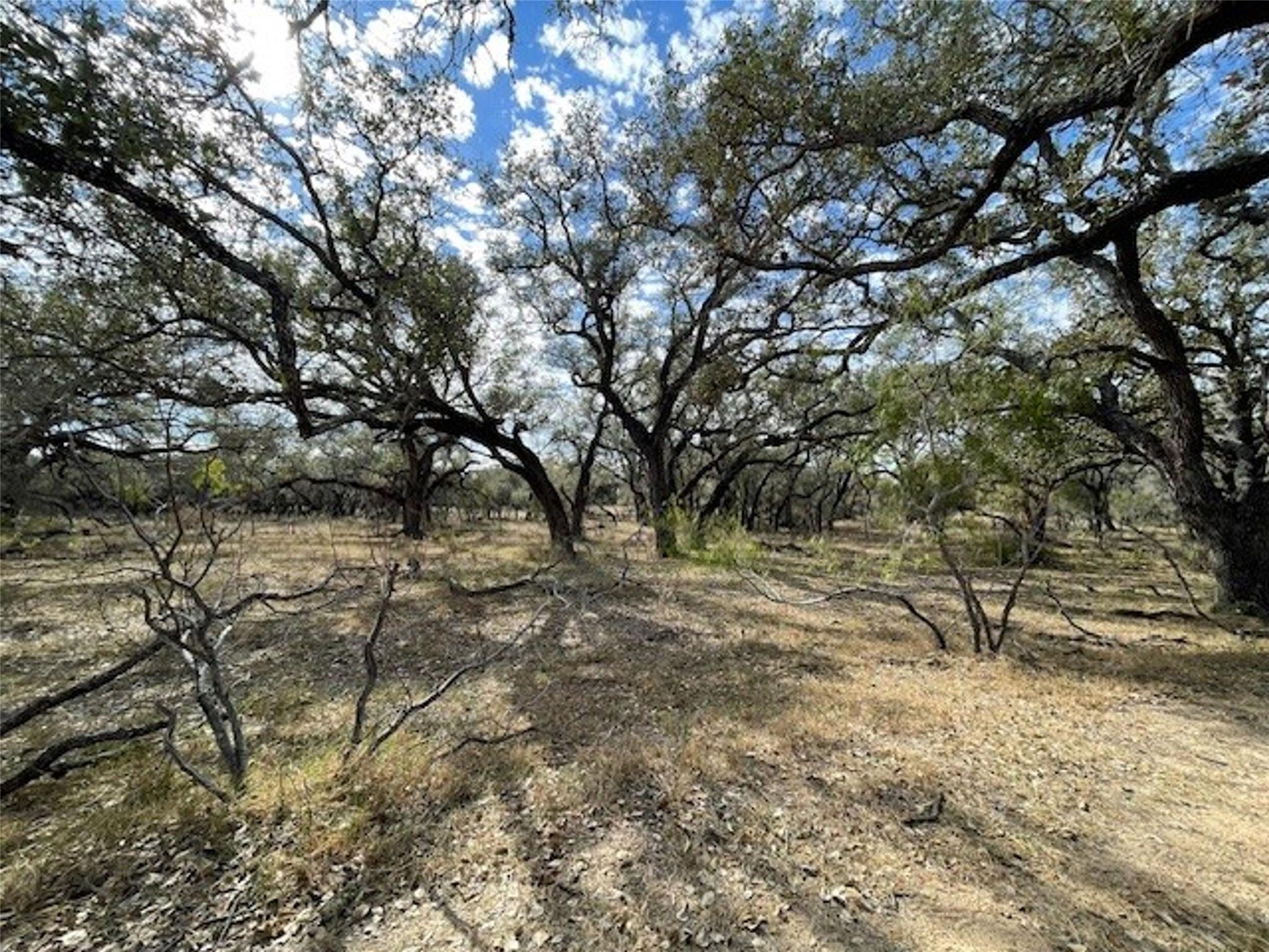 Image 6 of 12 For 1384 County Road 326