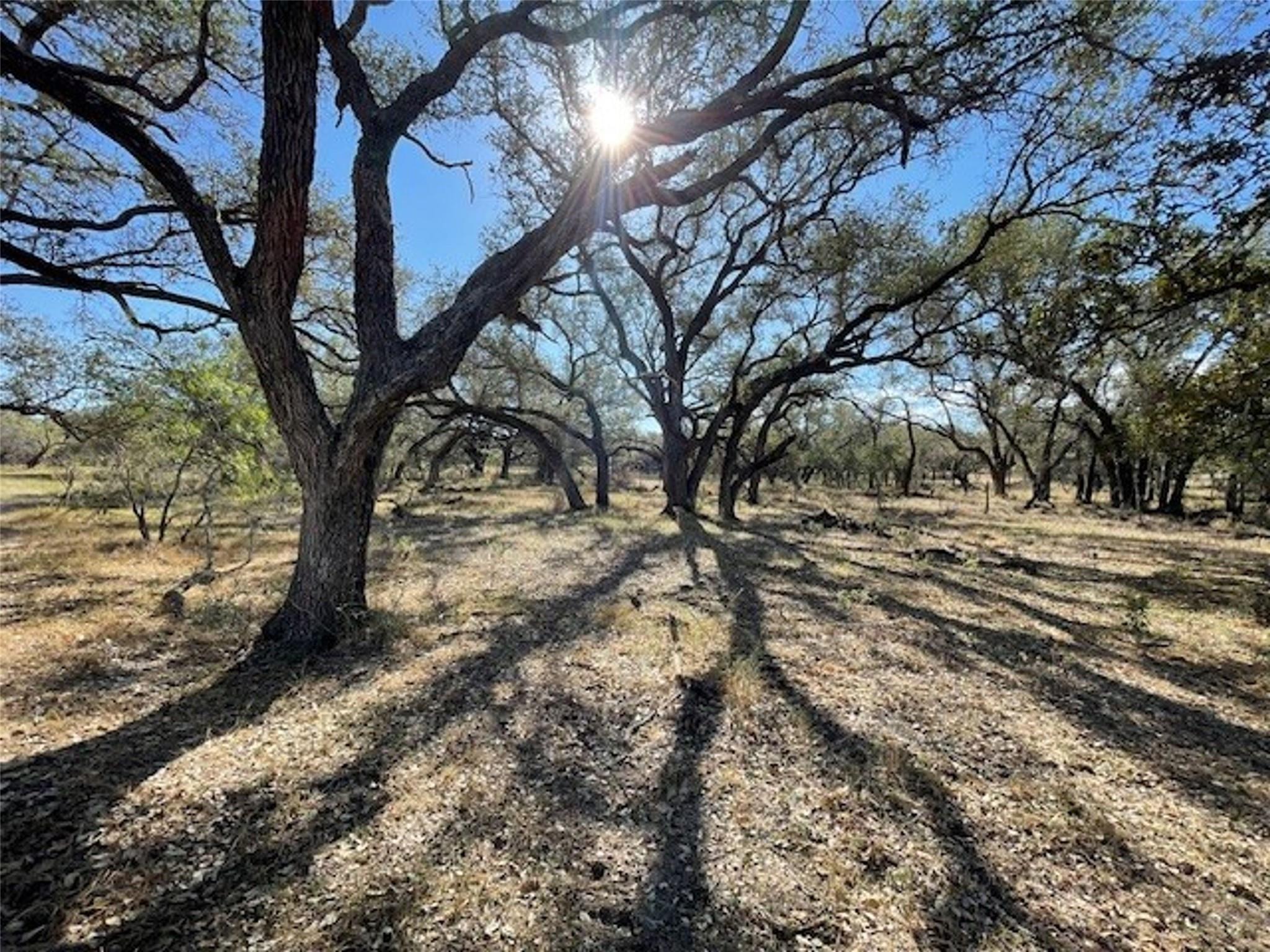 Image 8 of 12 For 1384 County Road 326