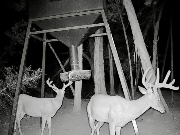 Image 27 of 40 For 281 Kloster Ln