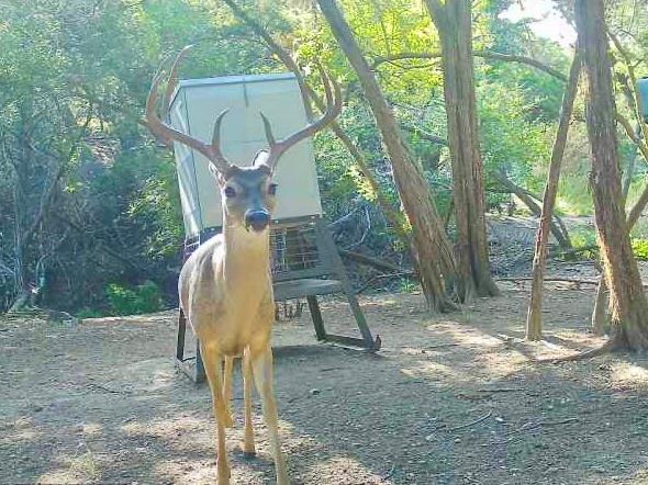 Image 28 of 40 For 281 Kloster Ln