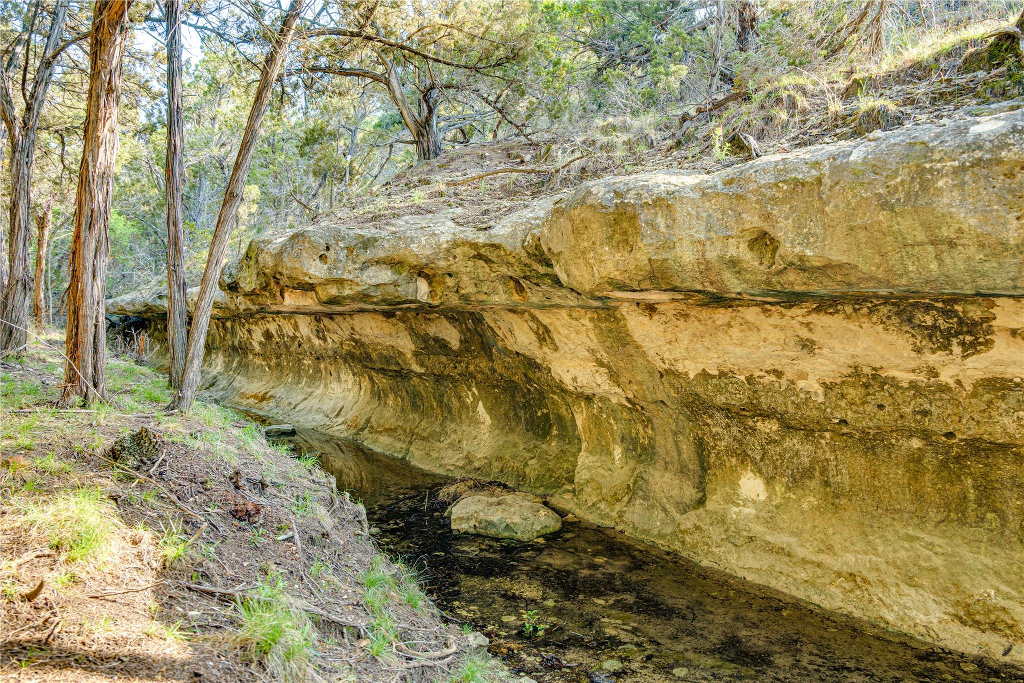 Image 32 of 40 For 281 Kloster Ln