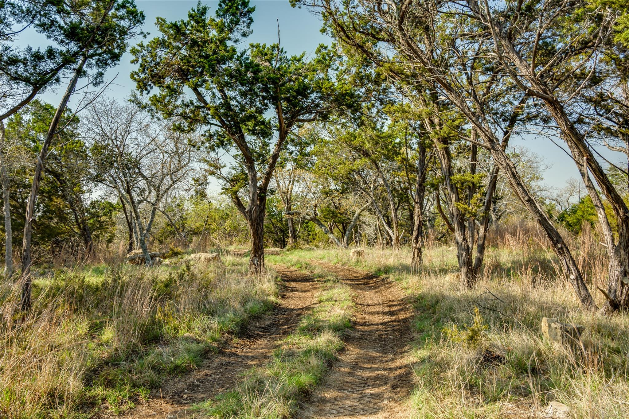 Image 38 of 40 For 281 Kloster Ln