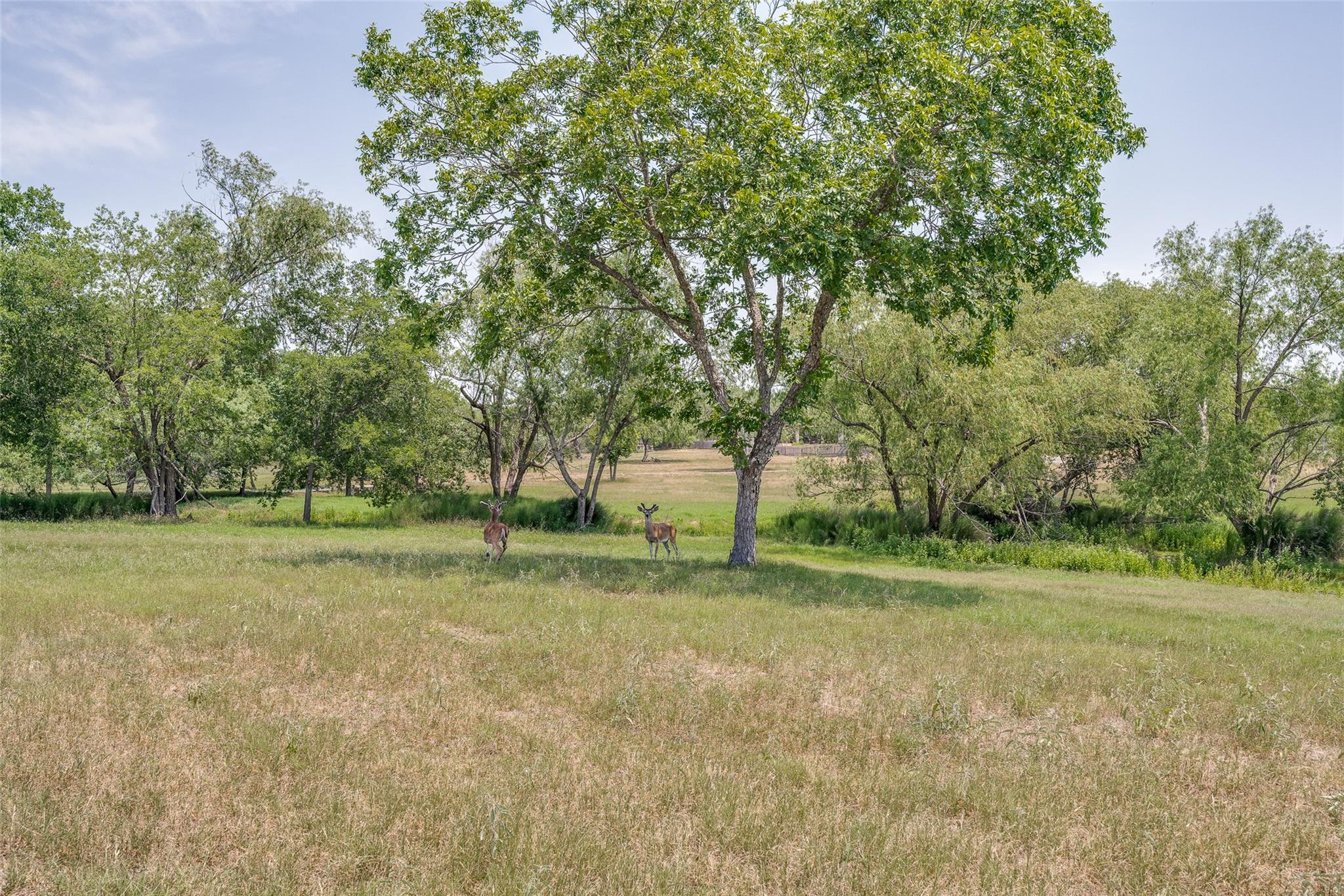 Image 38 of 38 For 10745 Rosemar Ln