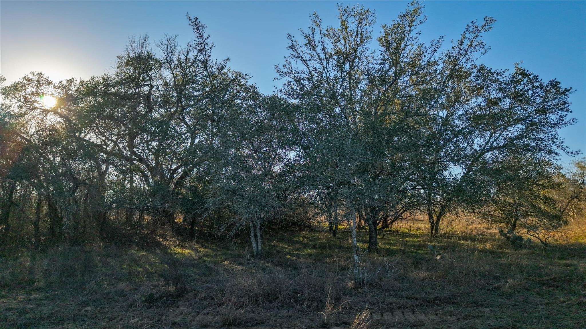 Image 10 of 20 For 000 Dowdy Rd