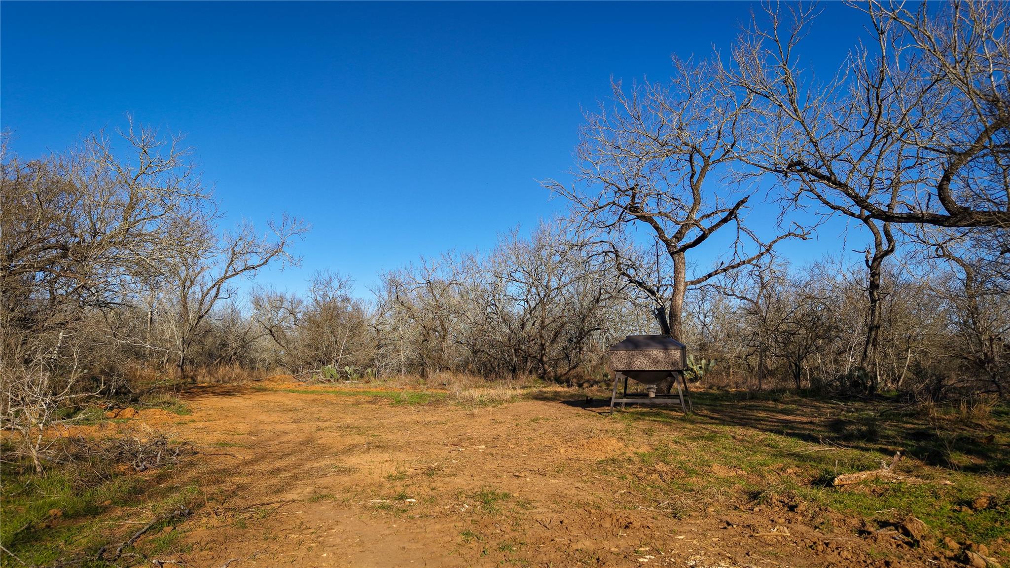 Image 11 of 20 For 000 Dowdy Rd