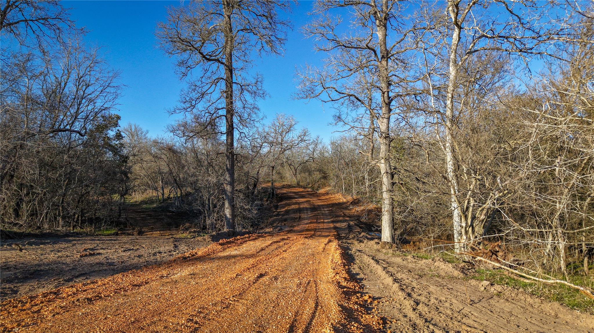 Image 6 of 20 For 000 Dowdy Rd