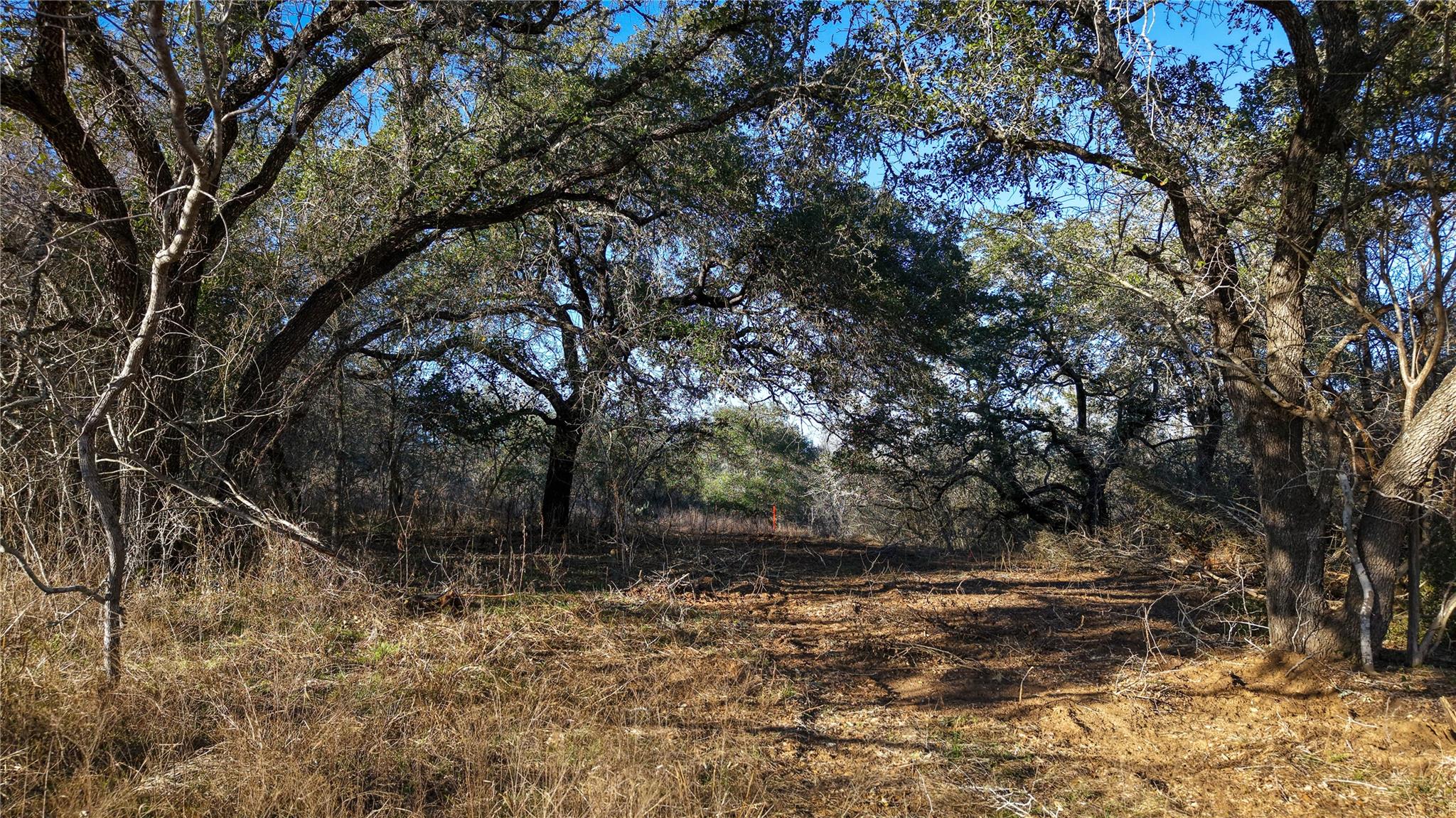 Image 7 of 20 For 000 Dowdy Rd