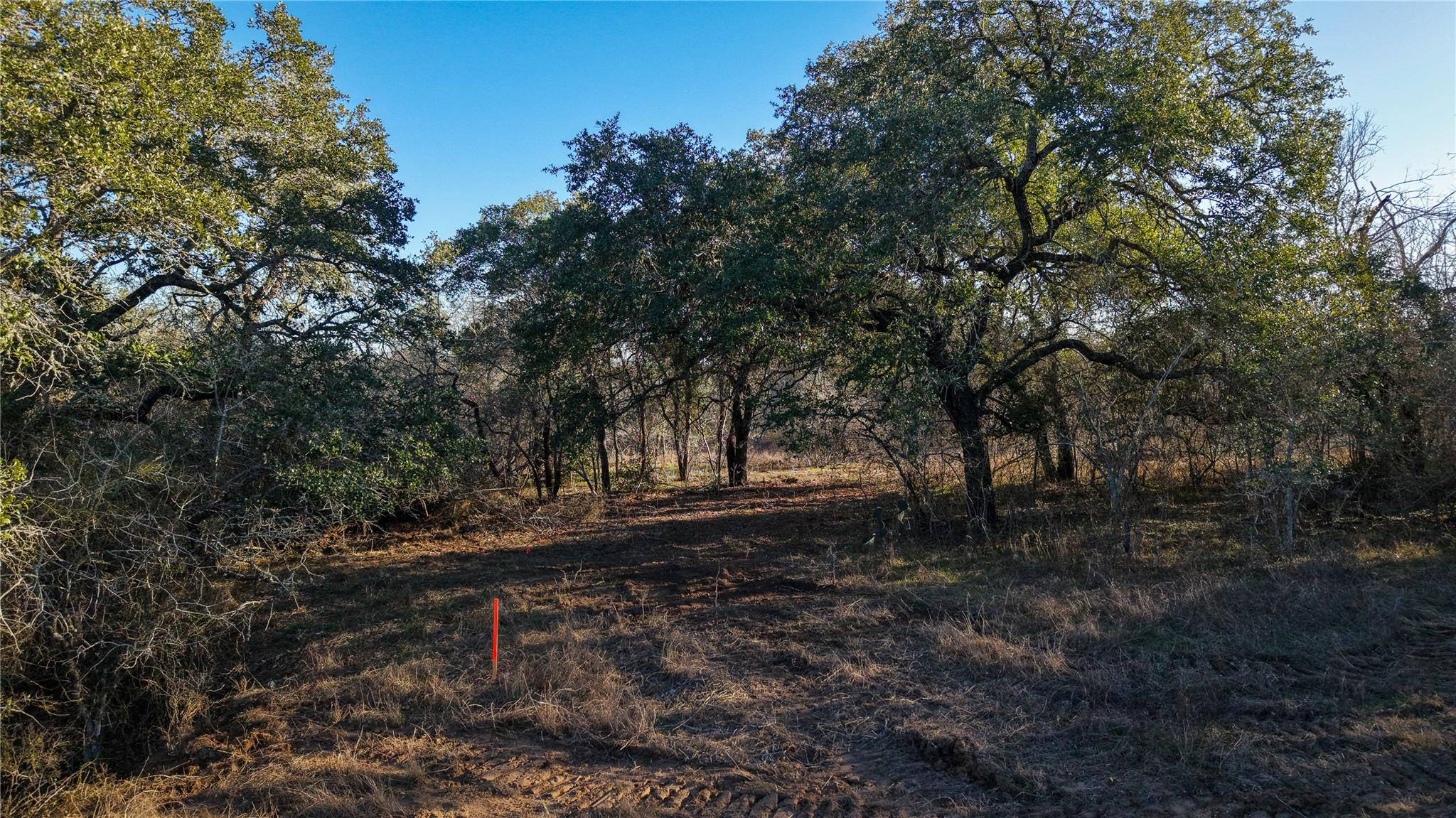 Image 8 of 20 For 000 Dowdy Rd