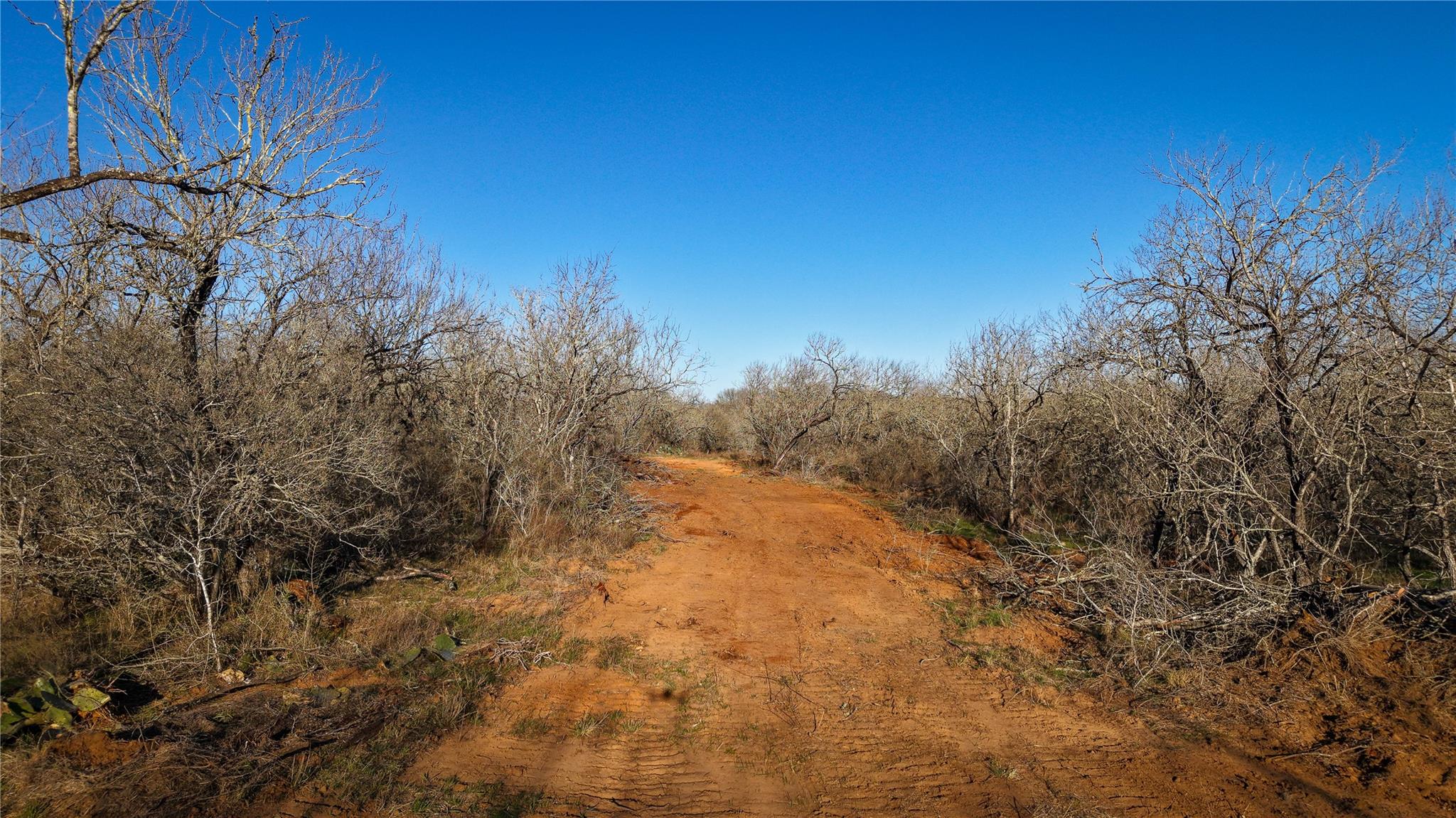 Image 9 of 20 For 000 Dowdy Rd