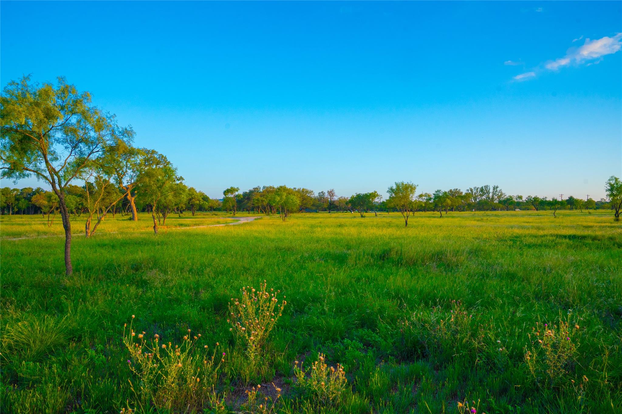 Image 10 of 12 For 0000 Golden Hour Ranch