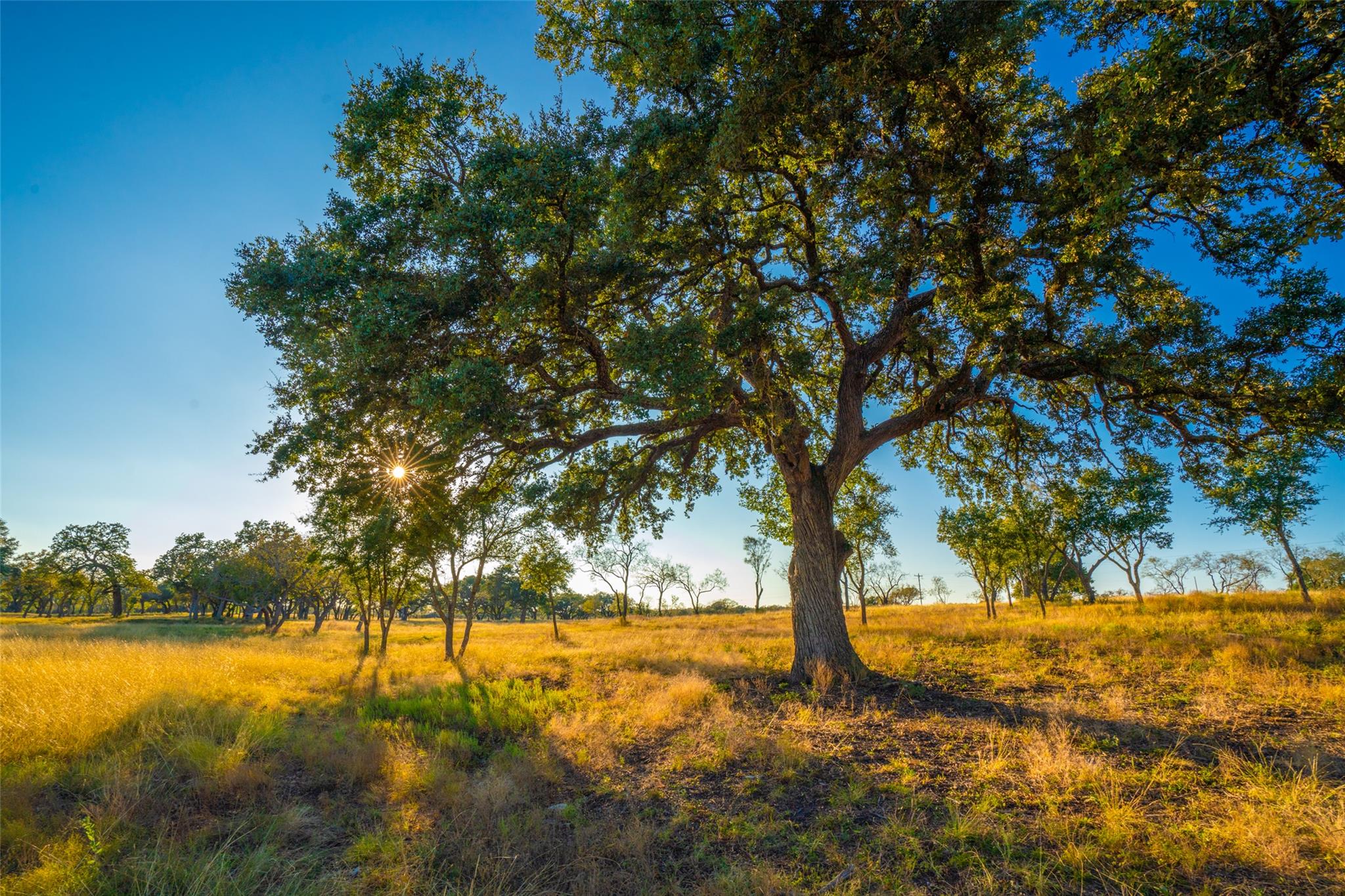 Image 11 of 12 For 0000 Golden Hour Ranch