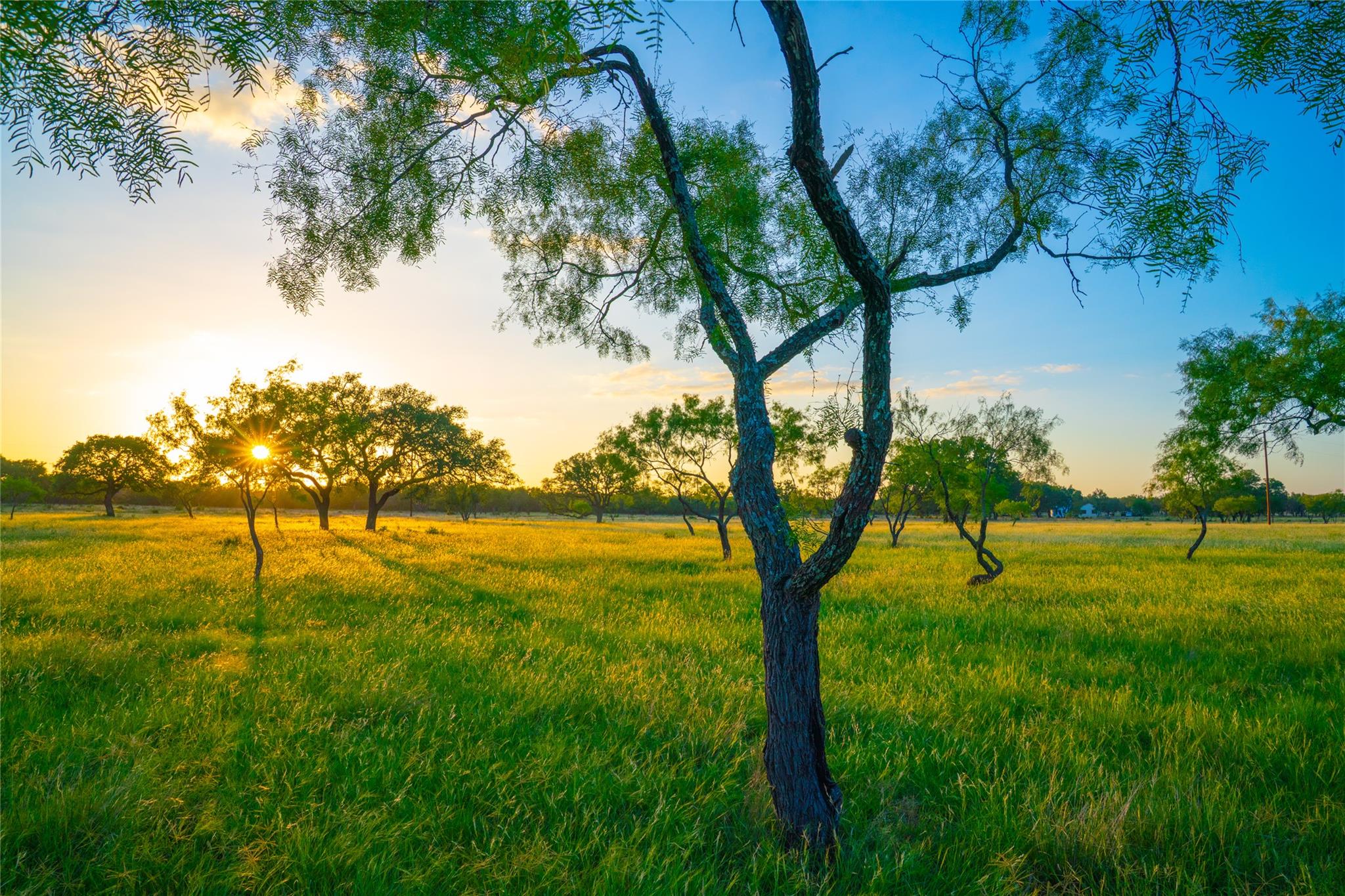 Image 3 of 12 For 0000 Golden Hour Ranch