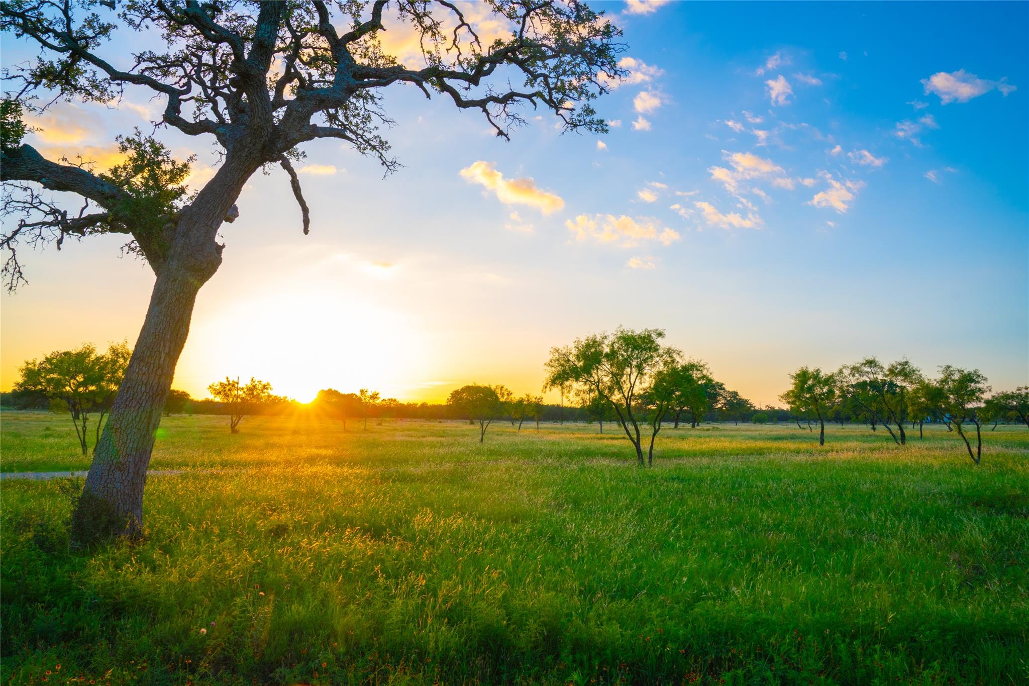 Image 4 of 12 For 0000 Golden Hour Ranch