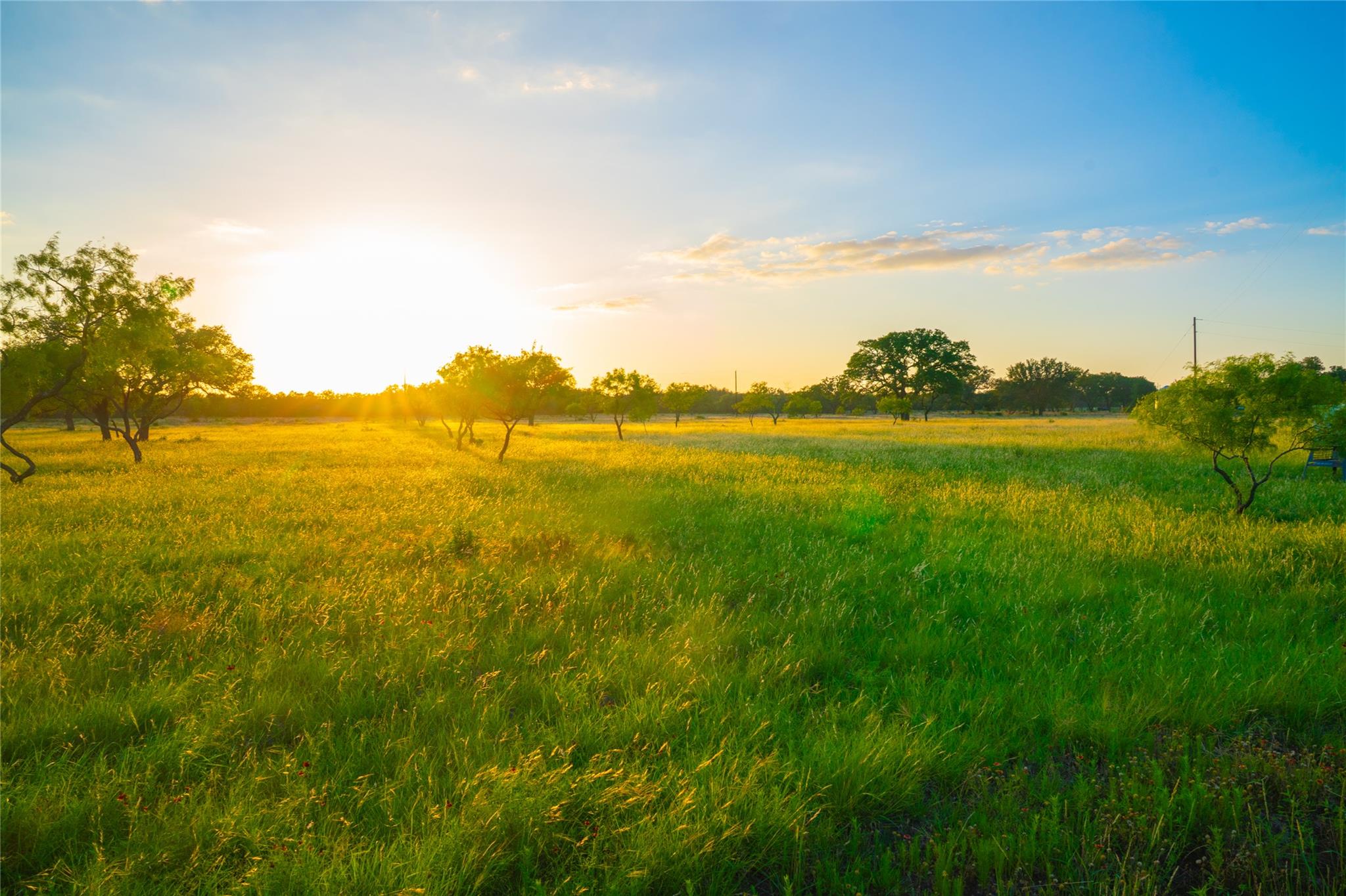 Image 5 of 12 For 0000 Golden Hour Ranch