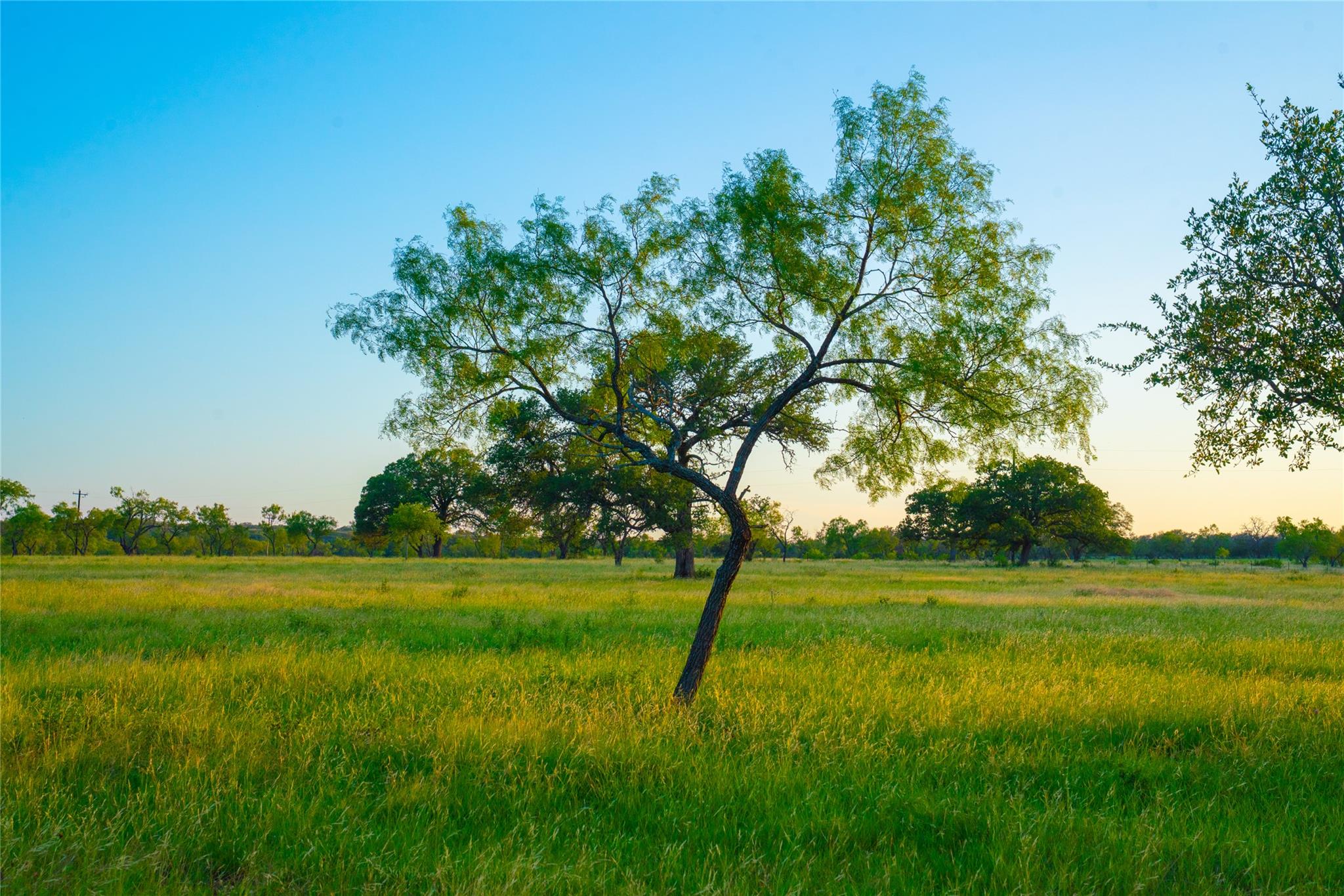 Image 9 of 12 For 0000 Golden Hour Ranch
