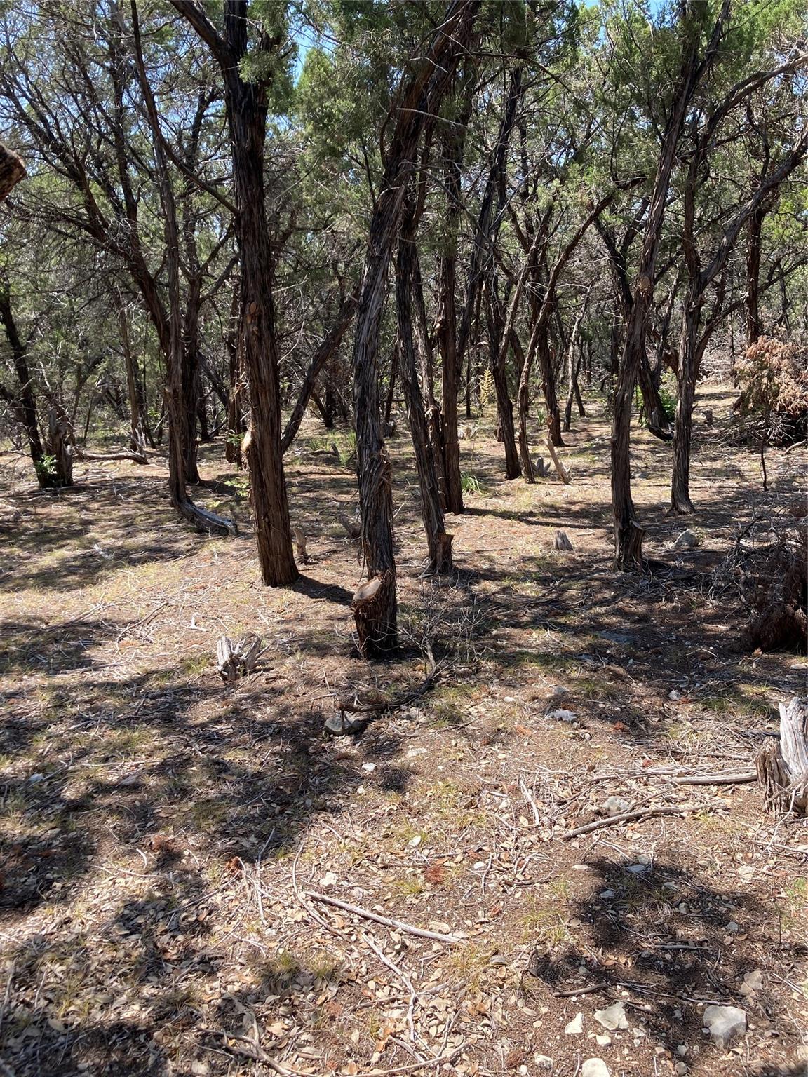 Image 13 of 13 For 6601 Capital Of Texas Highway