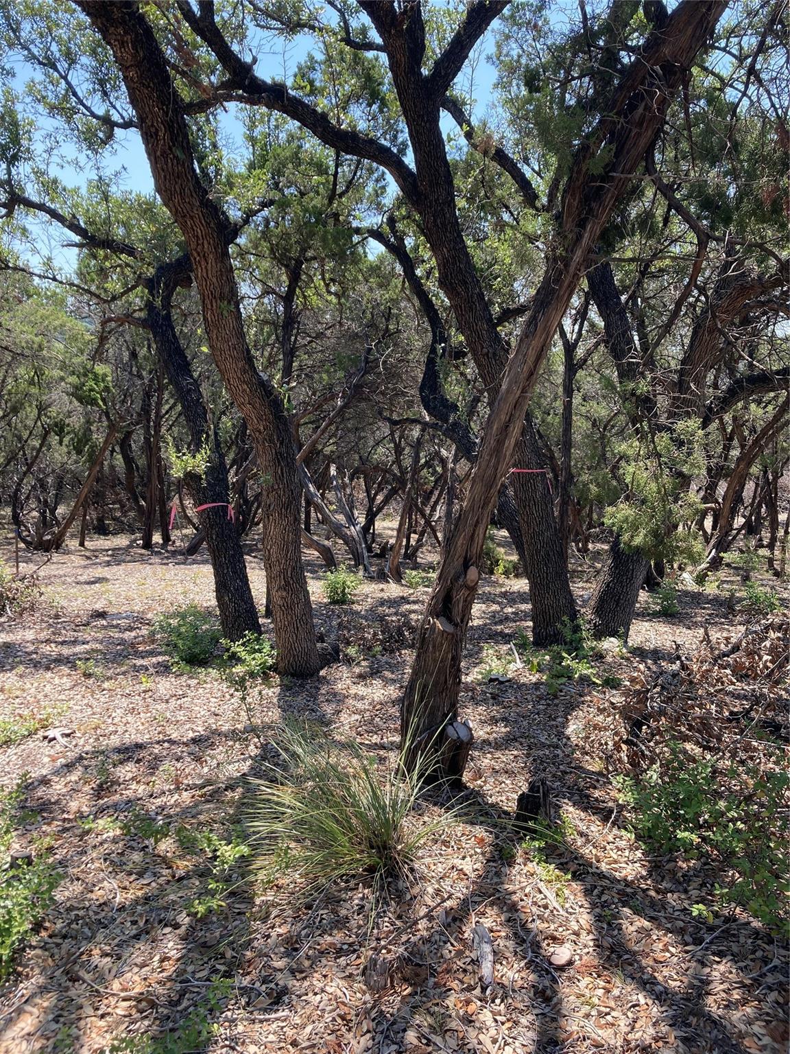 Image 3 of 13 For 6601 Capital Of Texas Highway