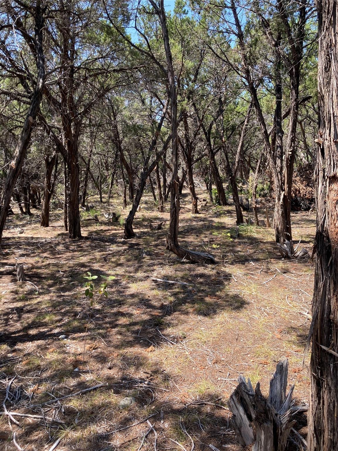 Image 5 of 13 For 6601 Capital Of Texas Highway