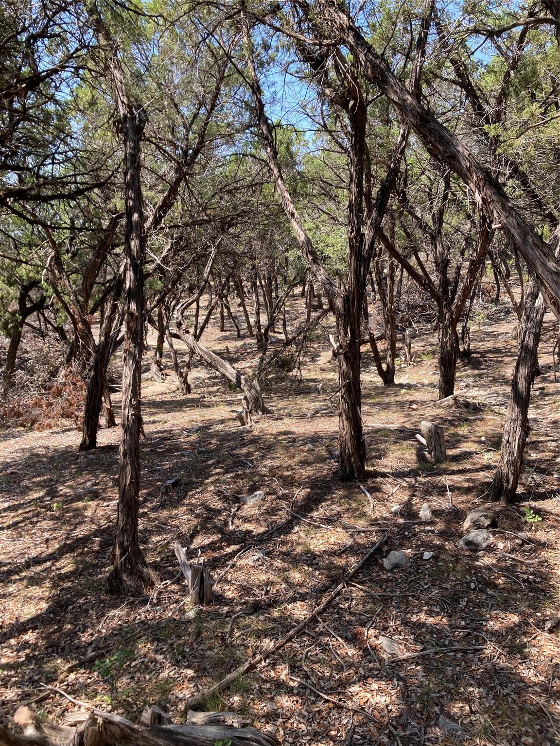 Image 6 of 13 For 6601 Capital Of Texas Highway