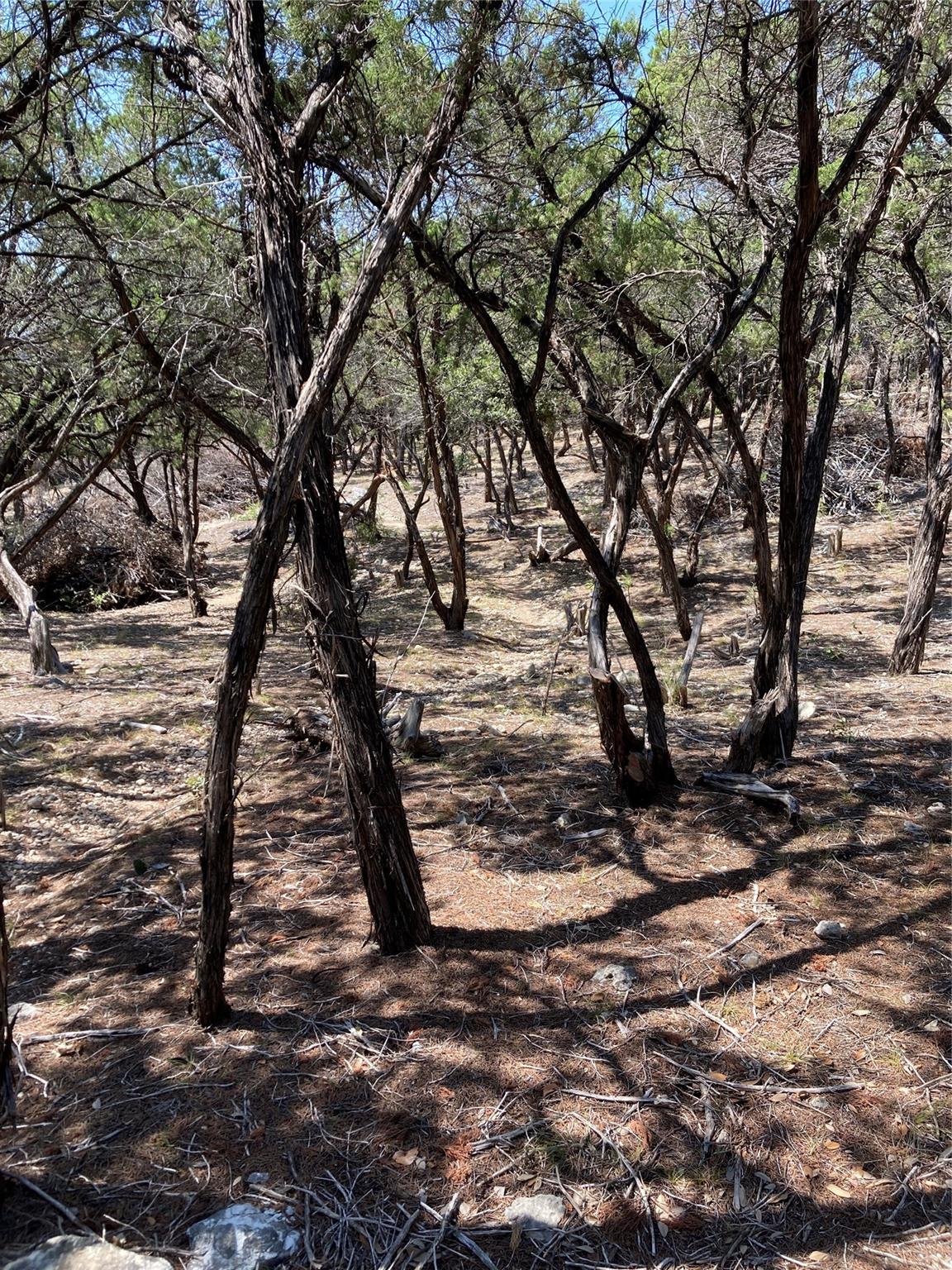 Image 9 of 13 For 6601 Capital Of Texas Highway