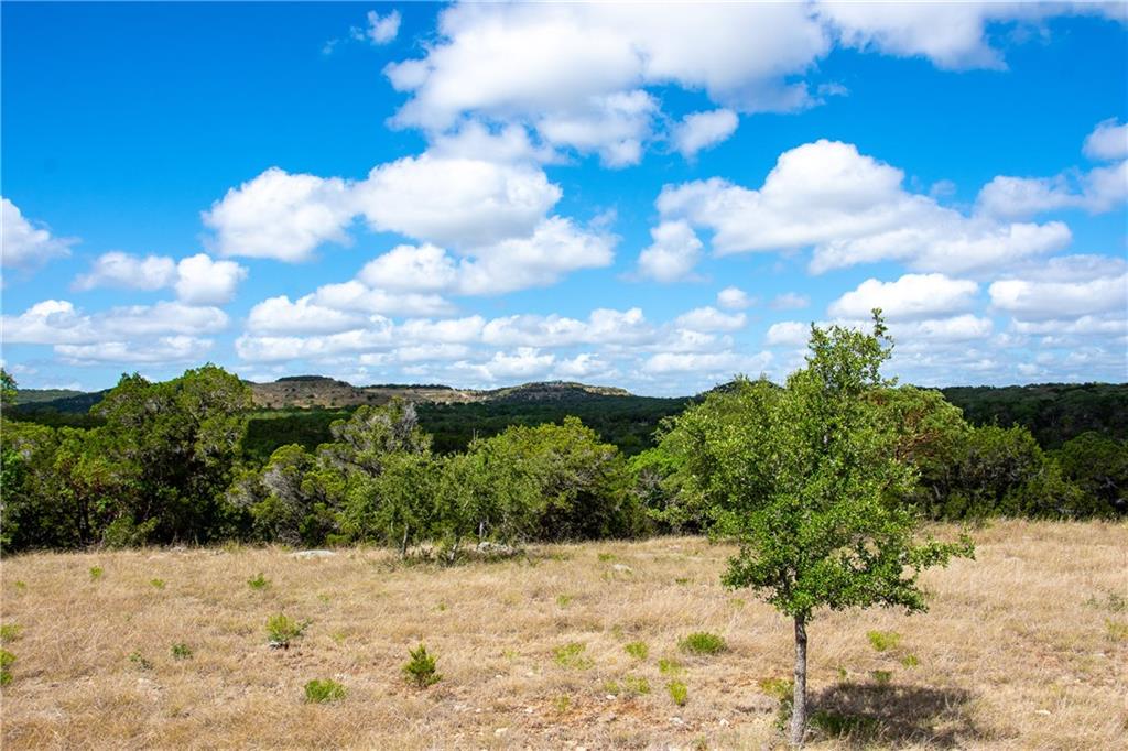 Details for 0 Monarch Ranch Rd, Blanco, TX 78606