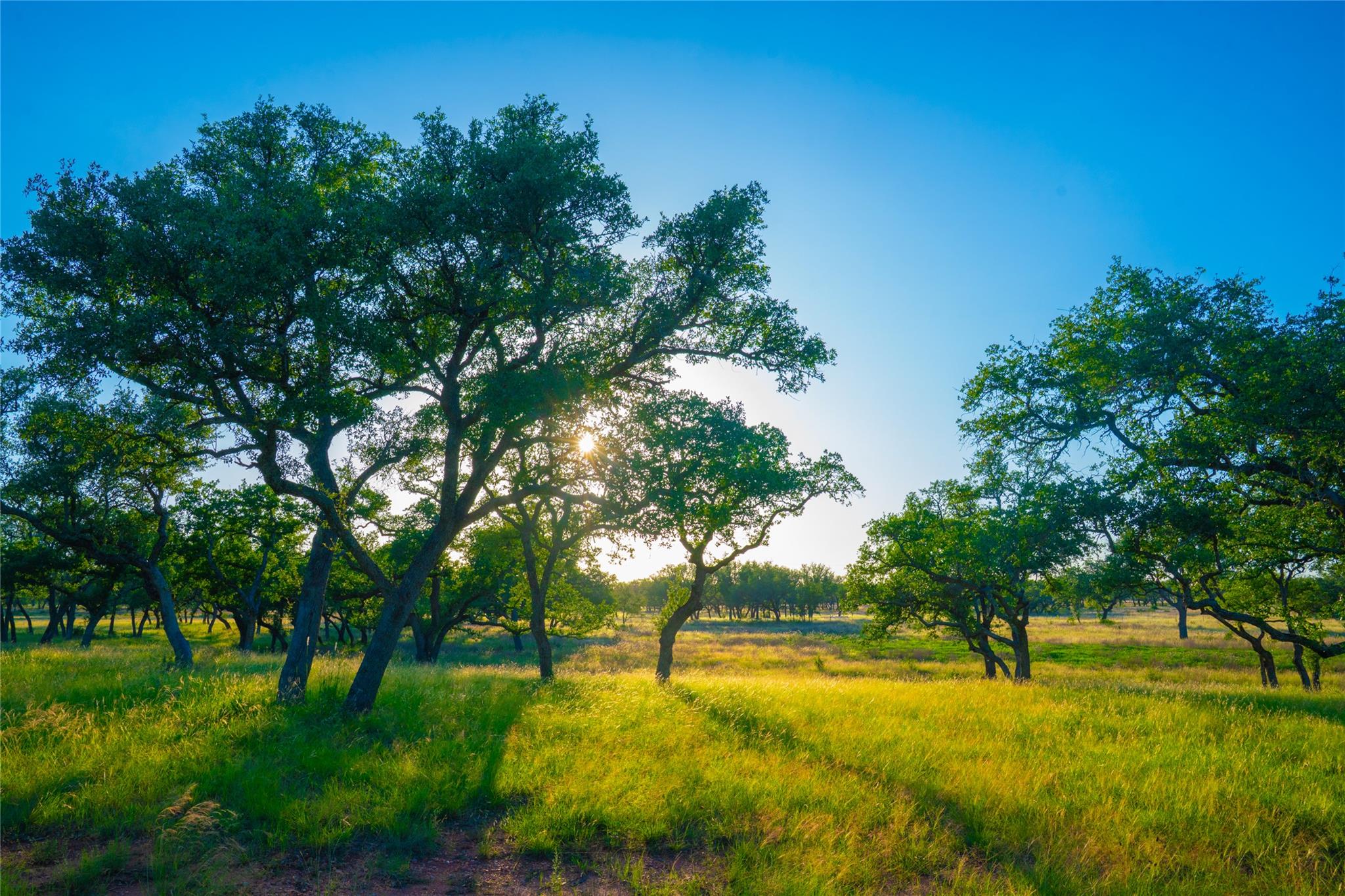 Image 11 of 30 For 000 Rolling Oaks Rnch