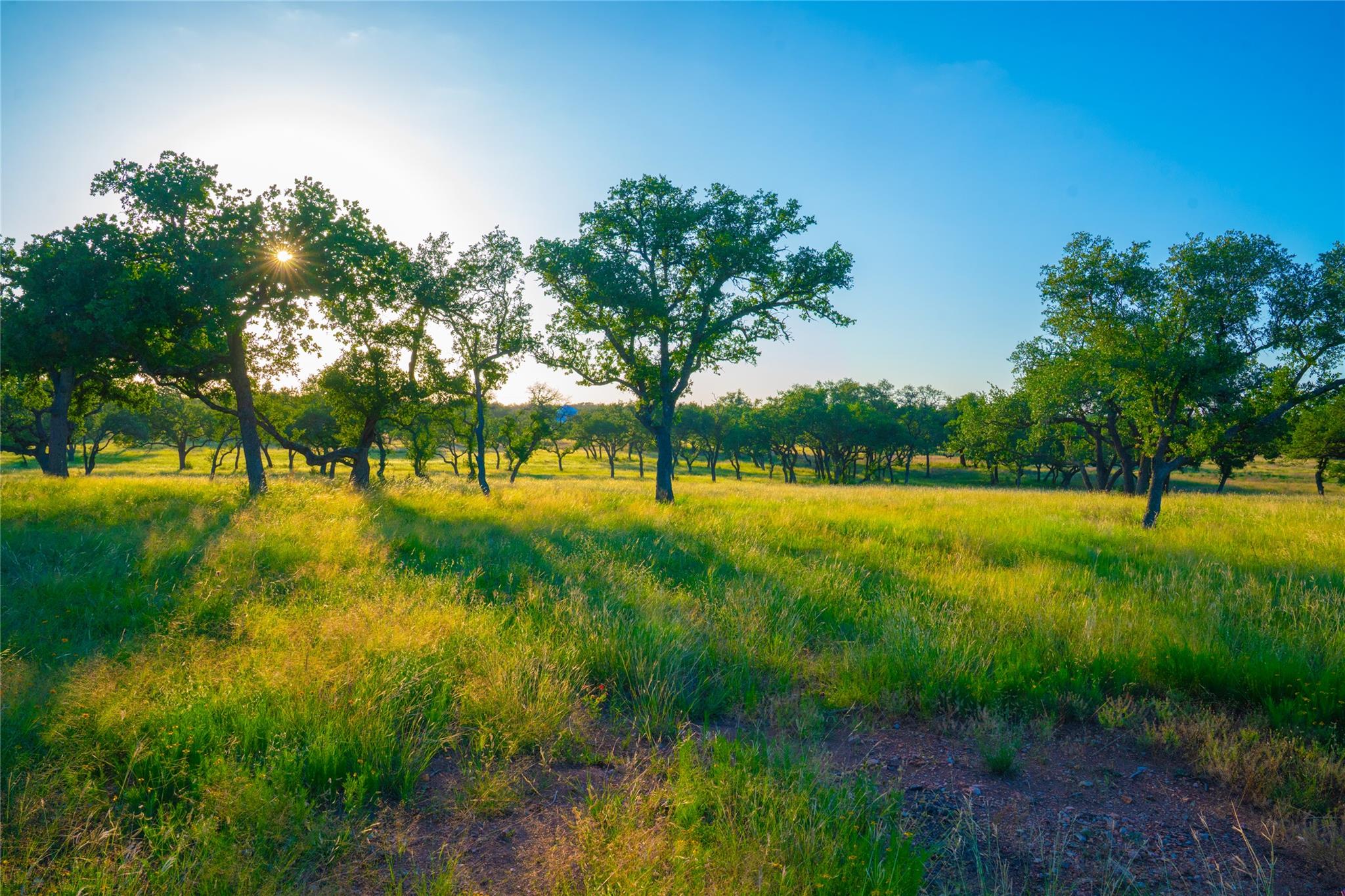 Image 15 of 30 For 000 Rolling Oaks Rnch