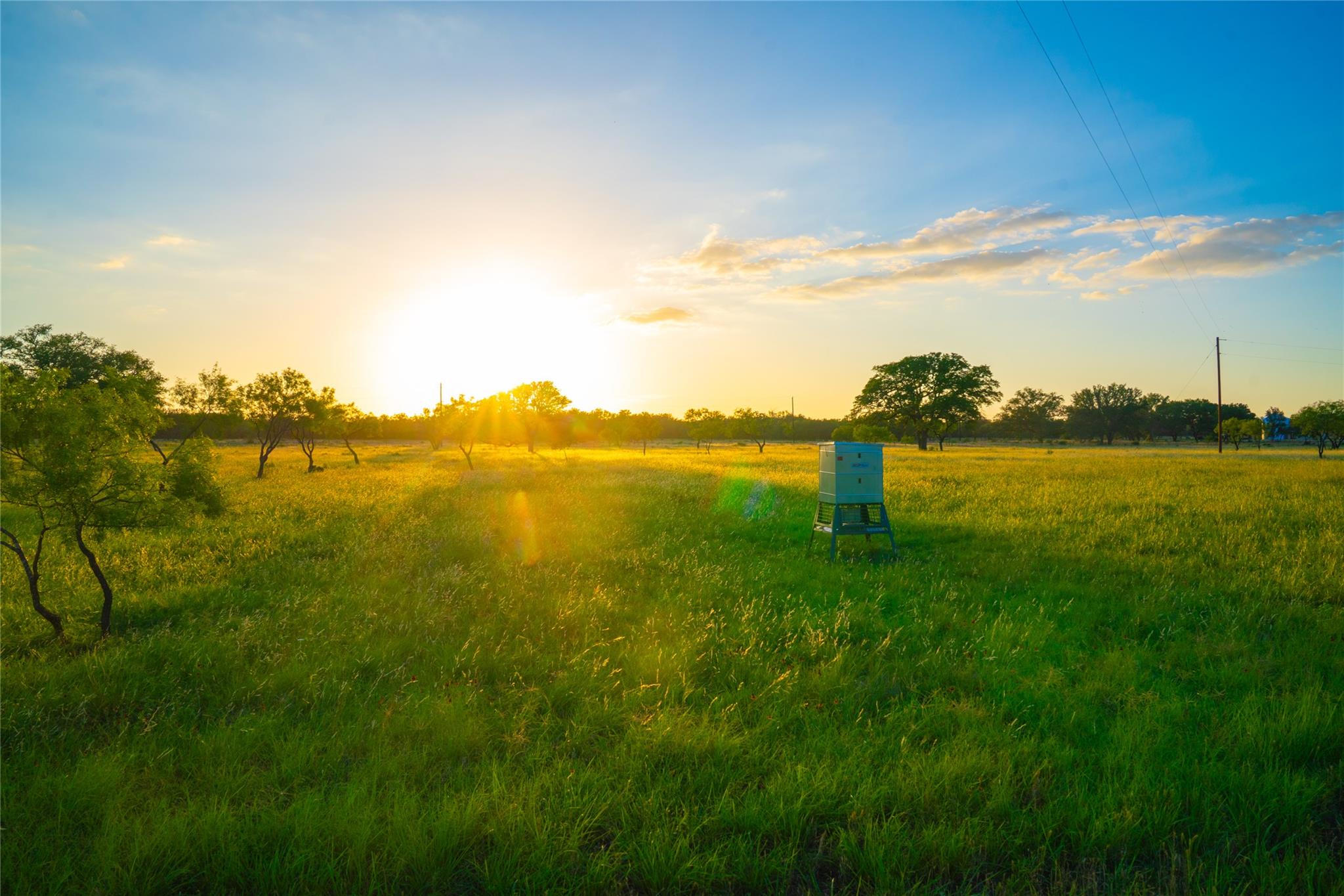 Image 17 of 30 For 000 Rolling Oaks Rnch