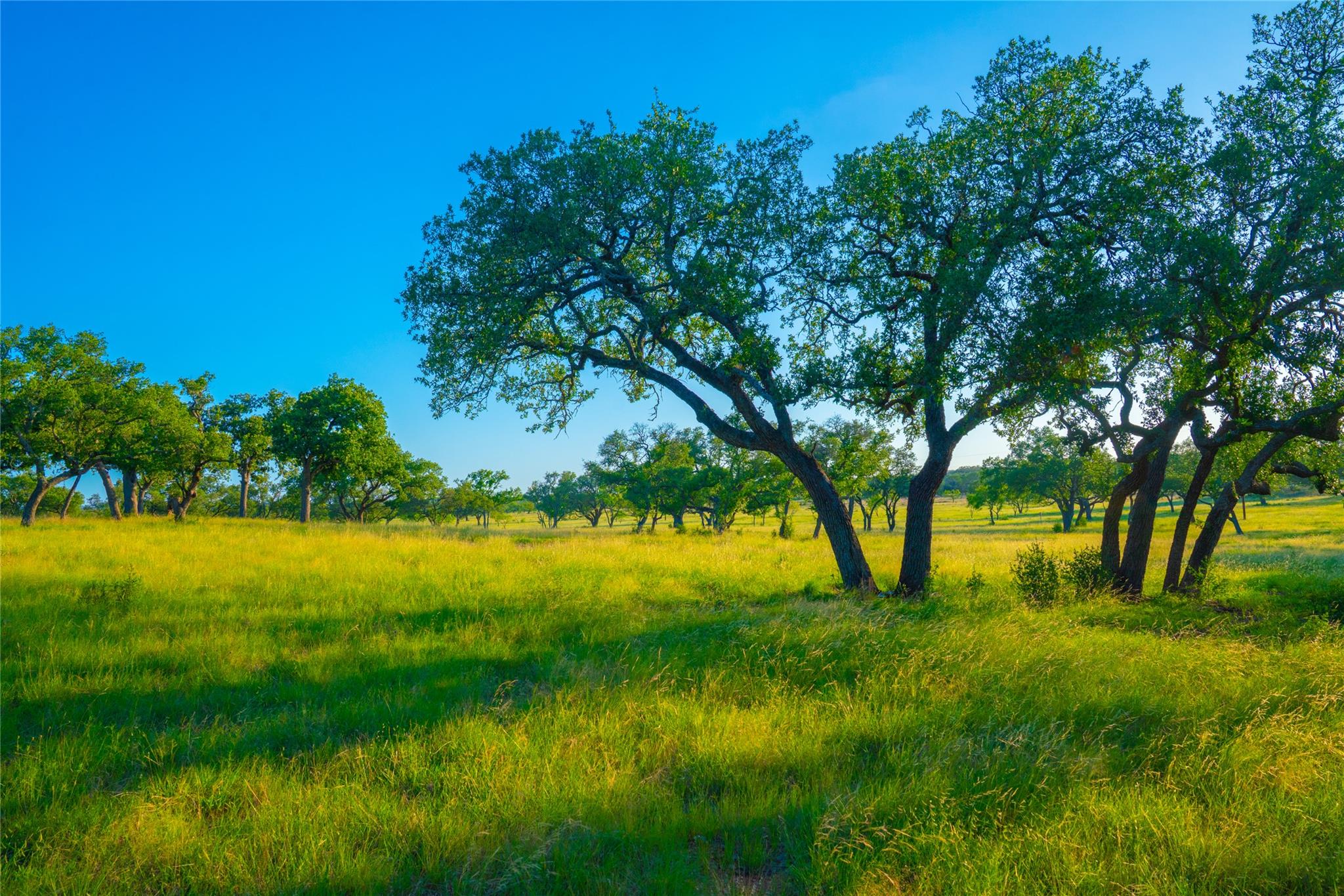 Image 20 of 30 For 000 Rolling Oaks Rnch