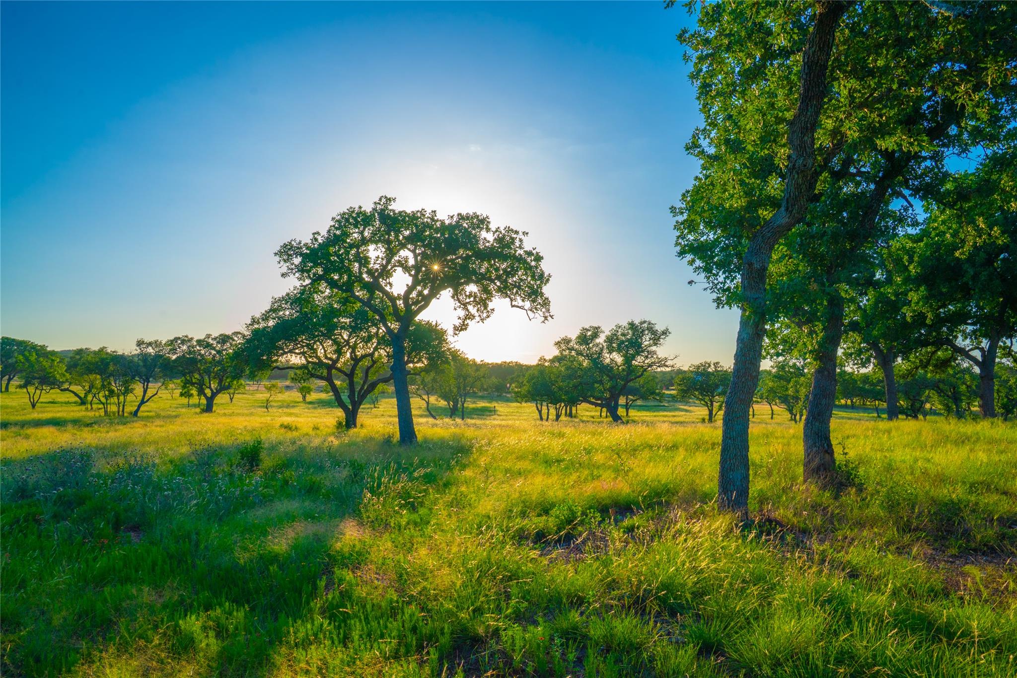 Image 24 of 30 For 000 Rolling Oaks Rnch