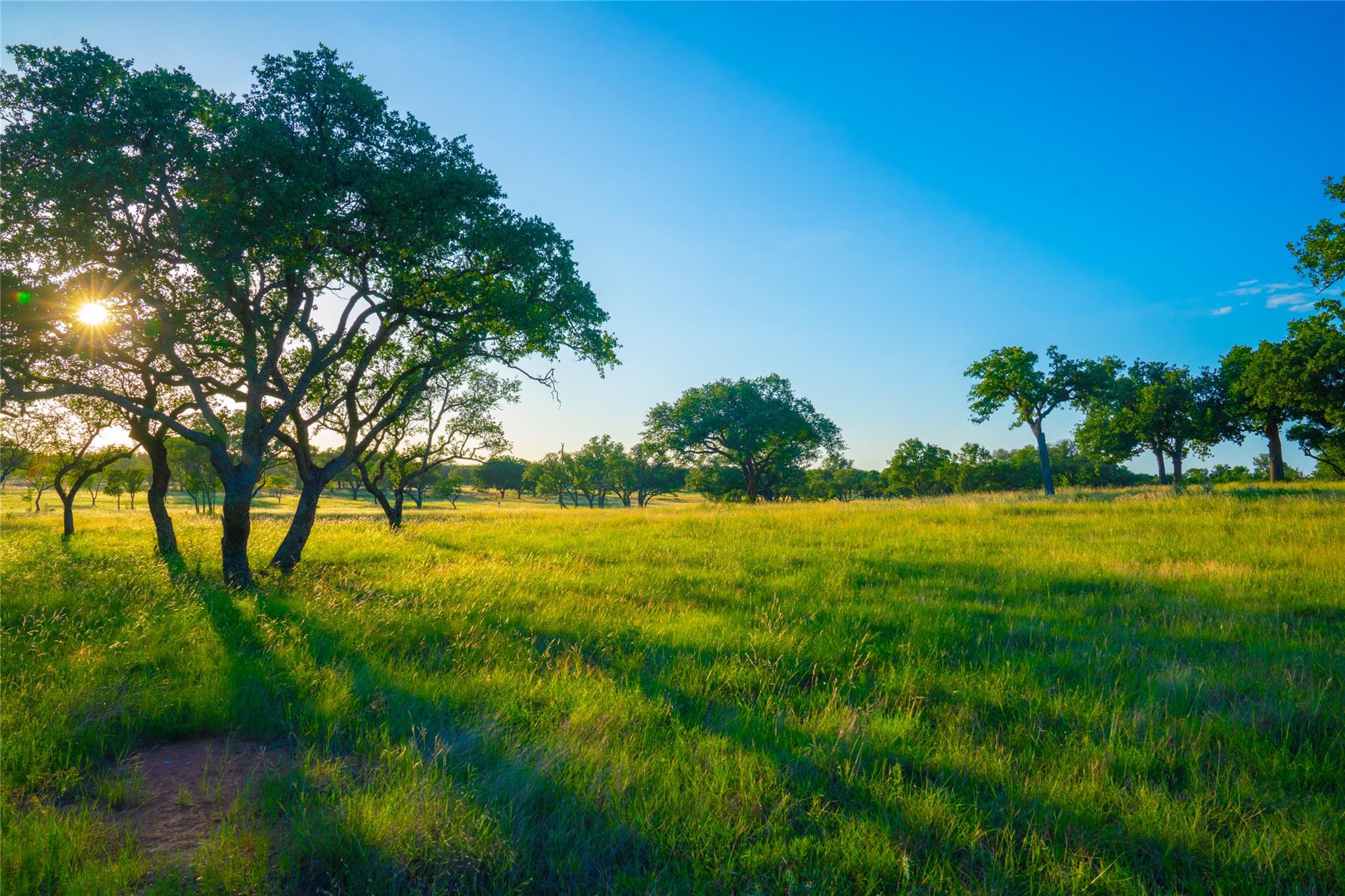 Image 26 of 30 For 000 Rolling Oaks Rnch