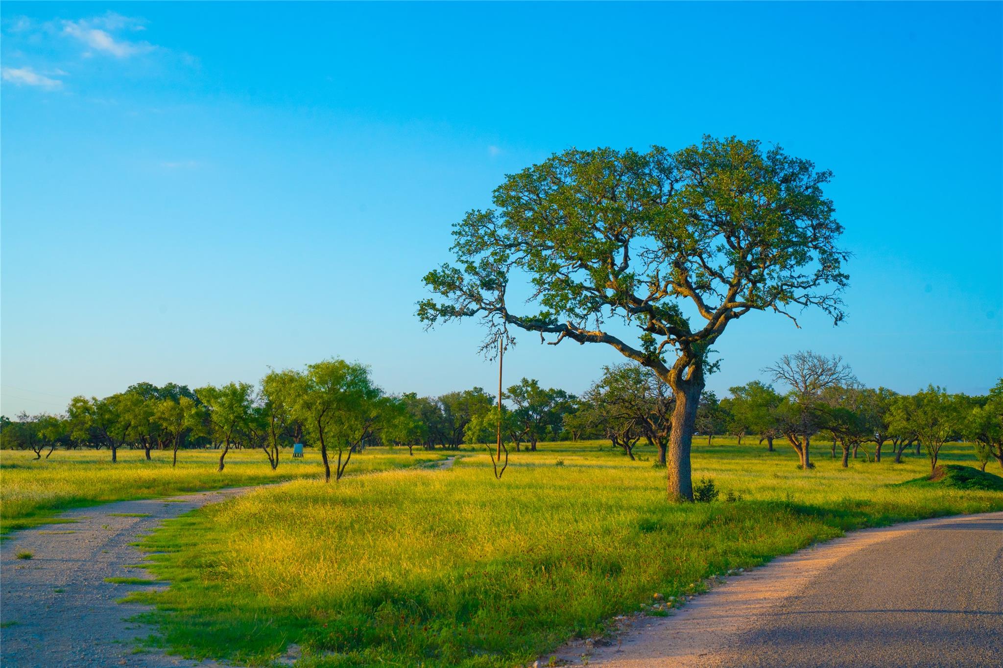 Image 29 of 30 For 000 Rolling Oaks Rnch