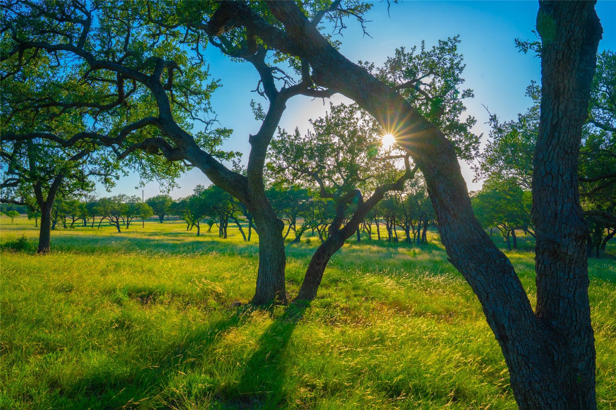 Image 3 of 30 For 000 Rolling Oaks Rnch