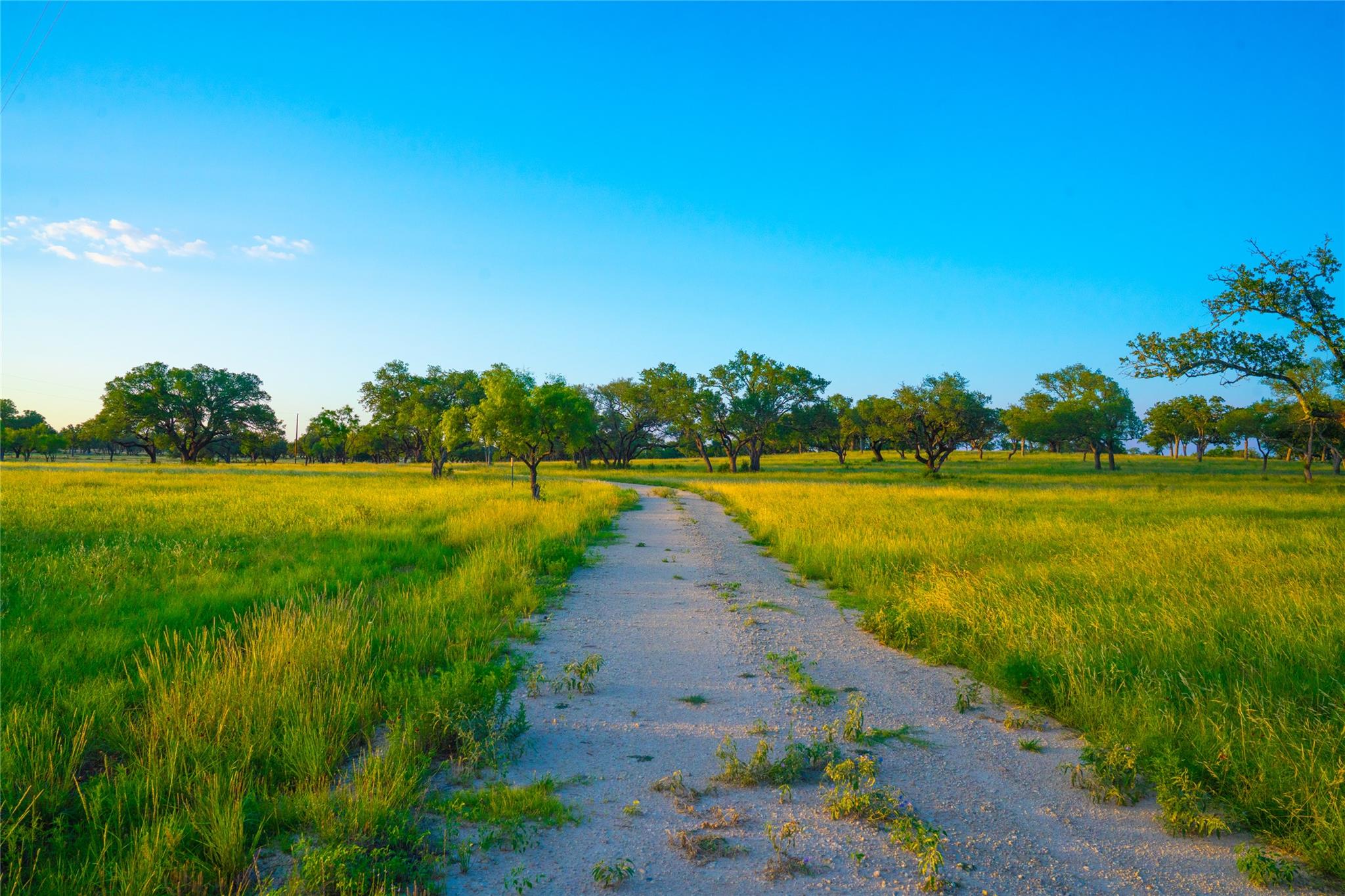 Image 30 of 30 For 000 Rolling Oaks Rnch